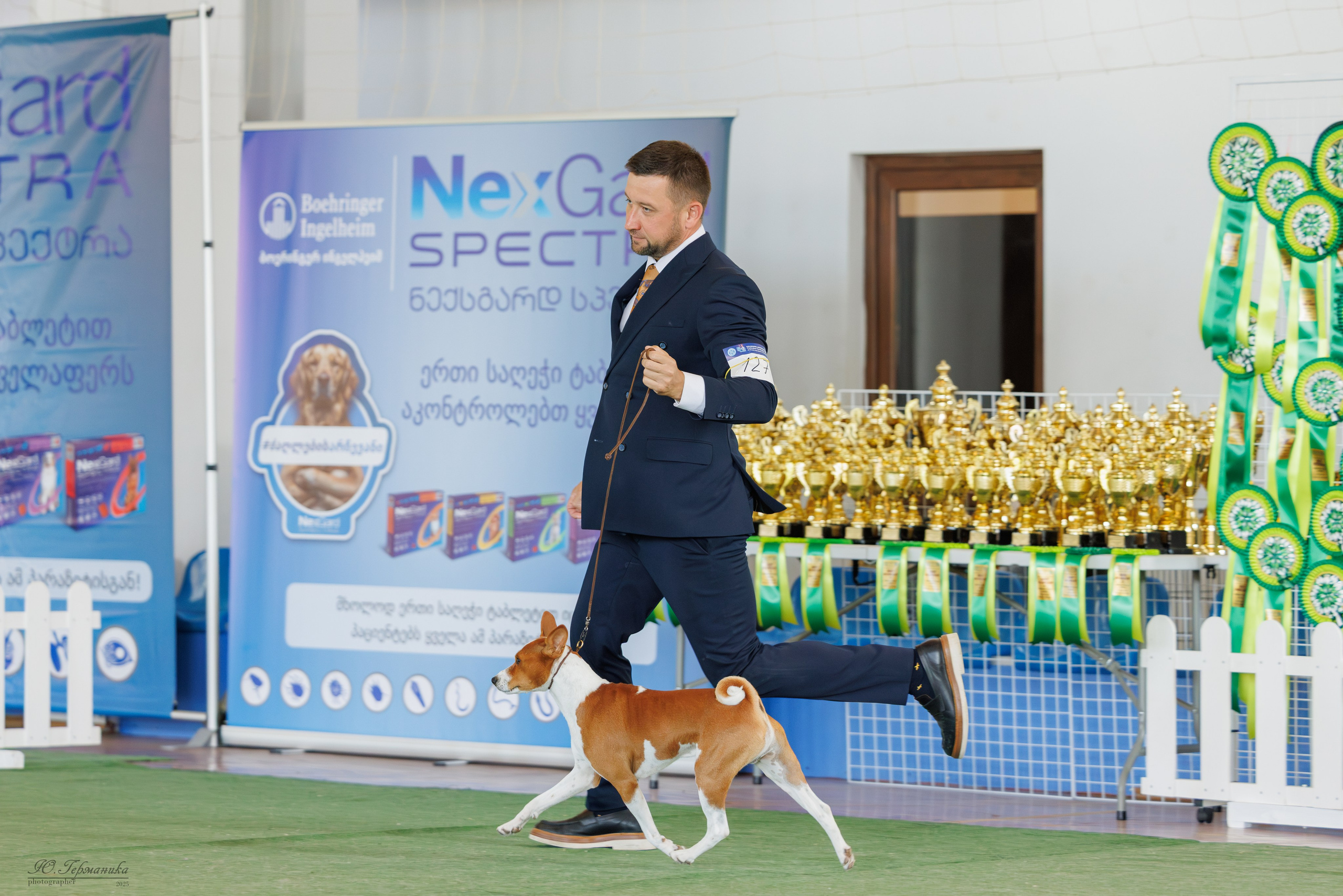 Батуми 3хCACIB 27-29.06.2025. Фотограф-анималист Юлия Германика