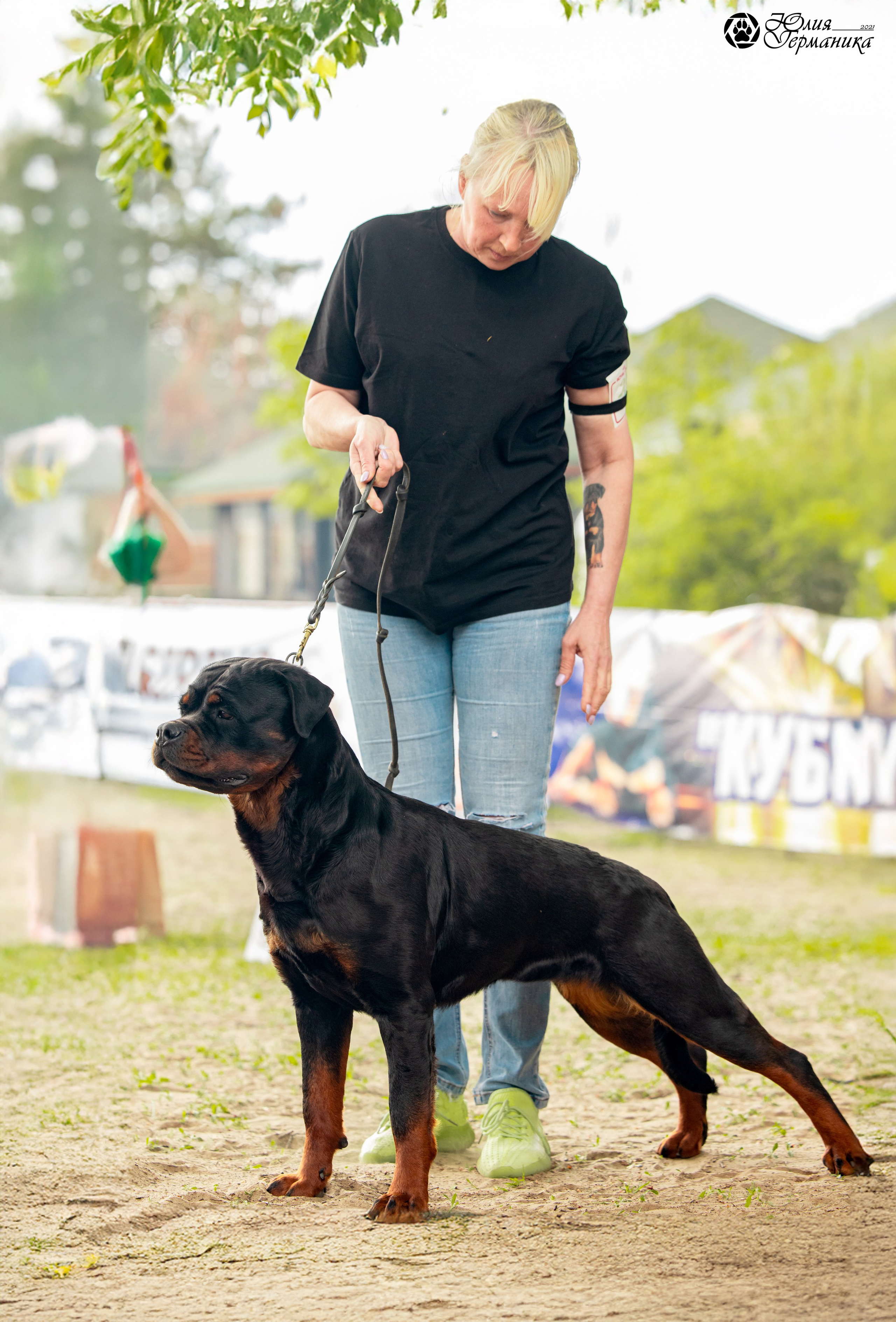 Саратов моно ротвейлеров 26-27.04.2025. Фотограф-анималист Юлия Германика