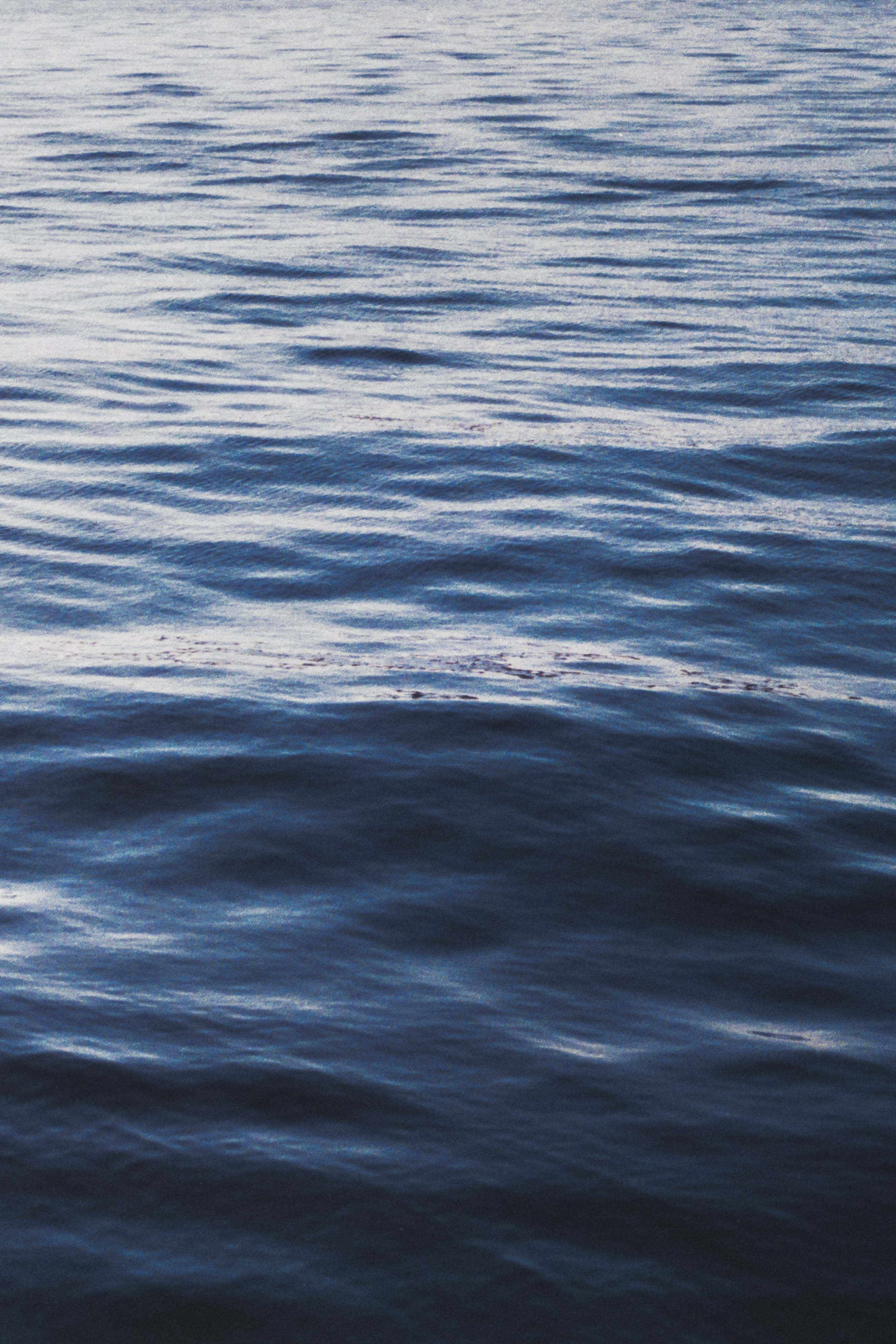 Пленочная история. Дмитрий Пропадалин, Нейрофотография