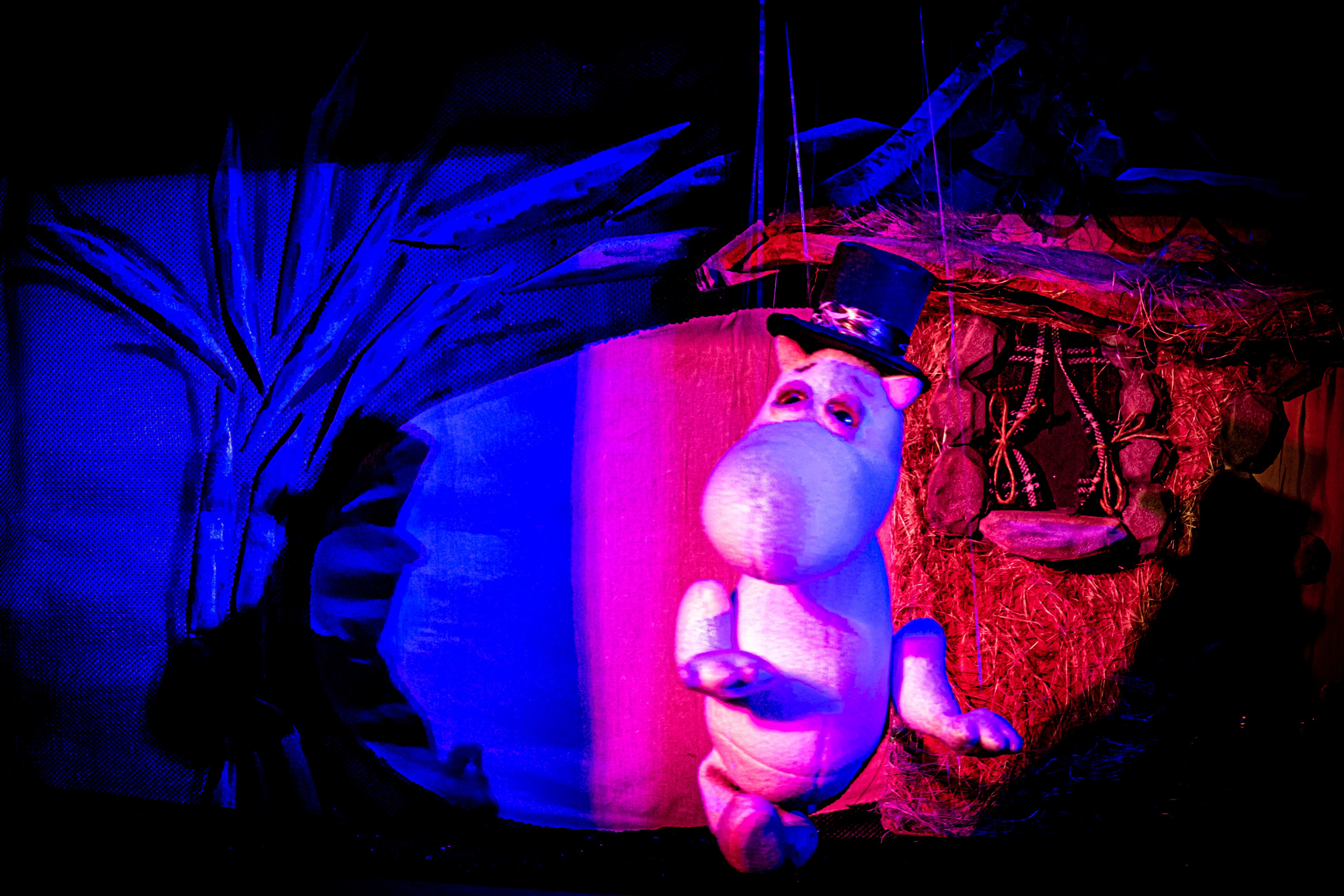 «Муми тролли и большое наводнение». Фотограф в Сочи Юрий Шептаев