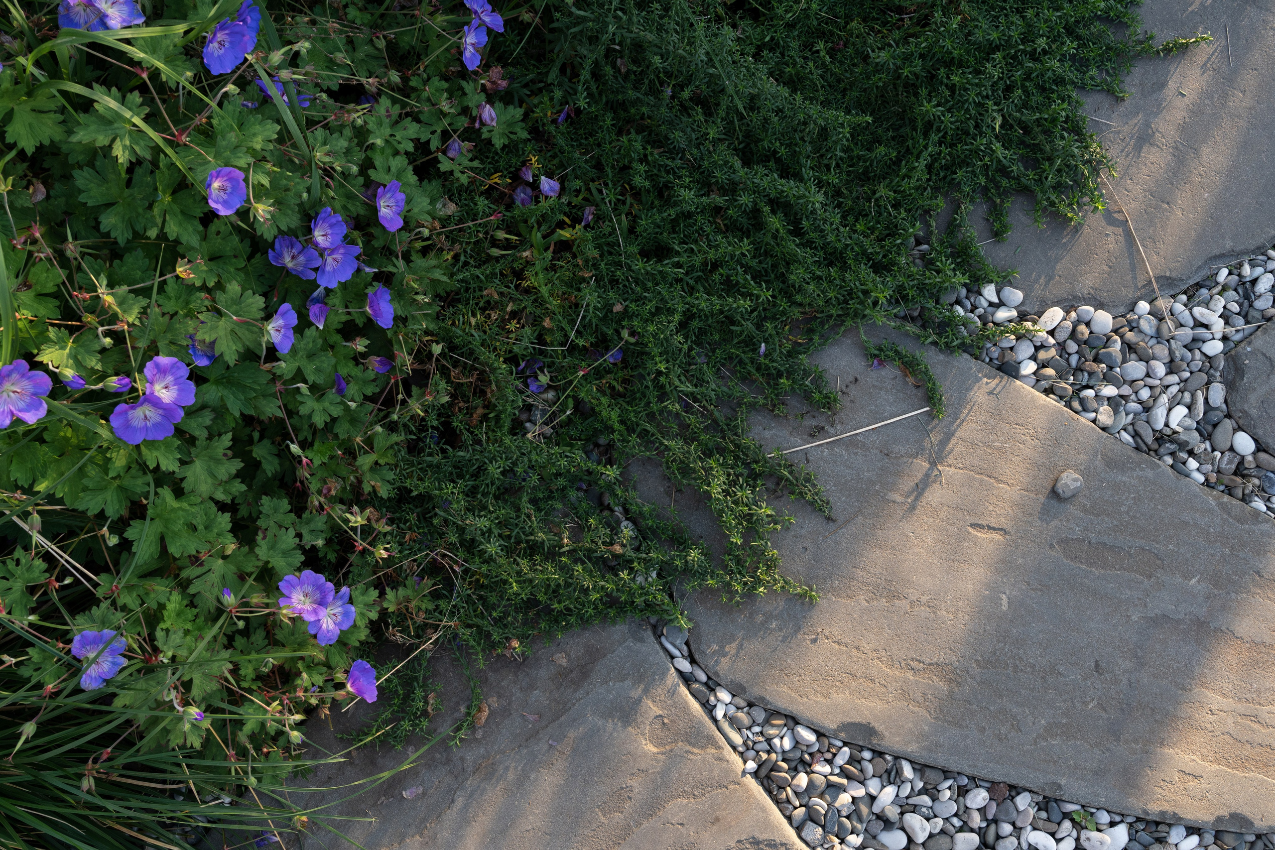 Framed landscape. Артамонов Александр | Архитектурный и ландшафтный фотограф