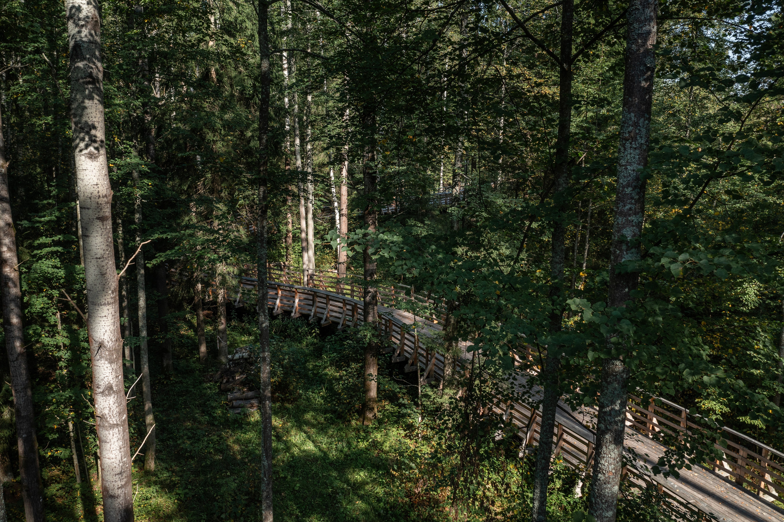 VELO1. Артамонов Александр | Архитектурный и ландшафтный фотограф