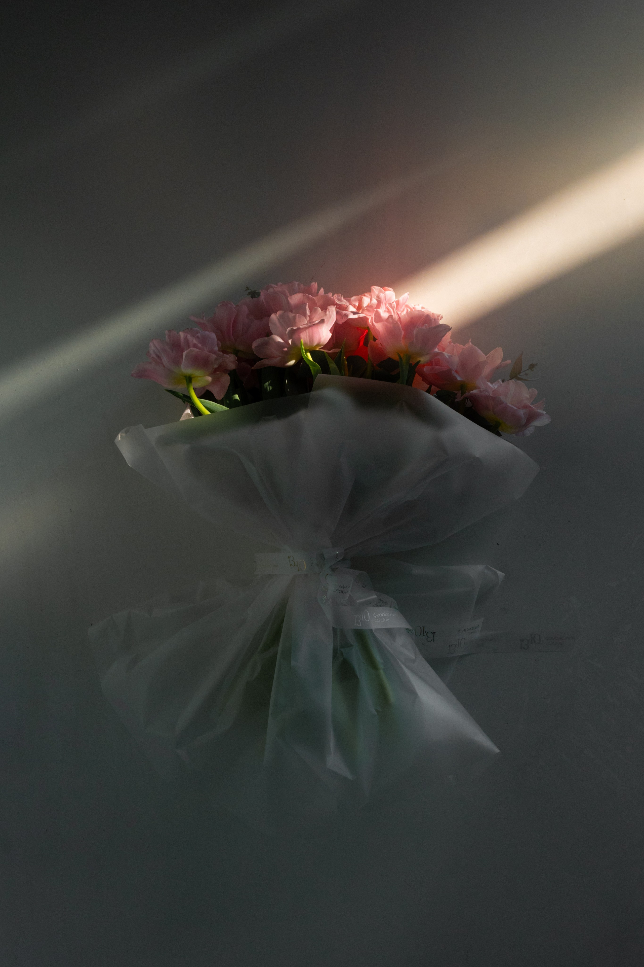 13.10. Пушистая Сова - Свадебный и портретный фотограф Воронеж, Москва, Питер