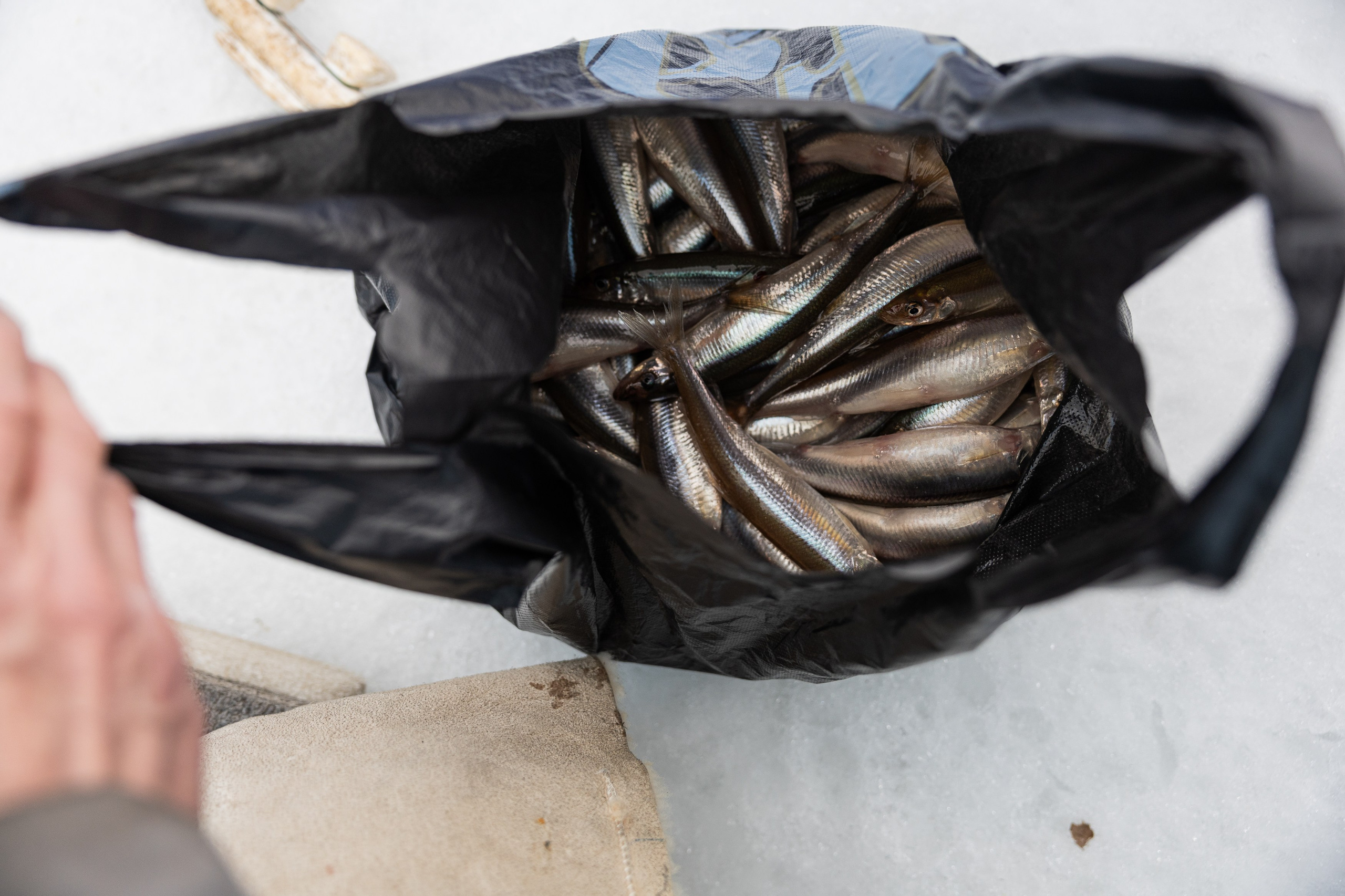 Кировск. Рыбаки. Алиса Северная. Визуальные исследования. Пейзажная и документальная фотография