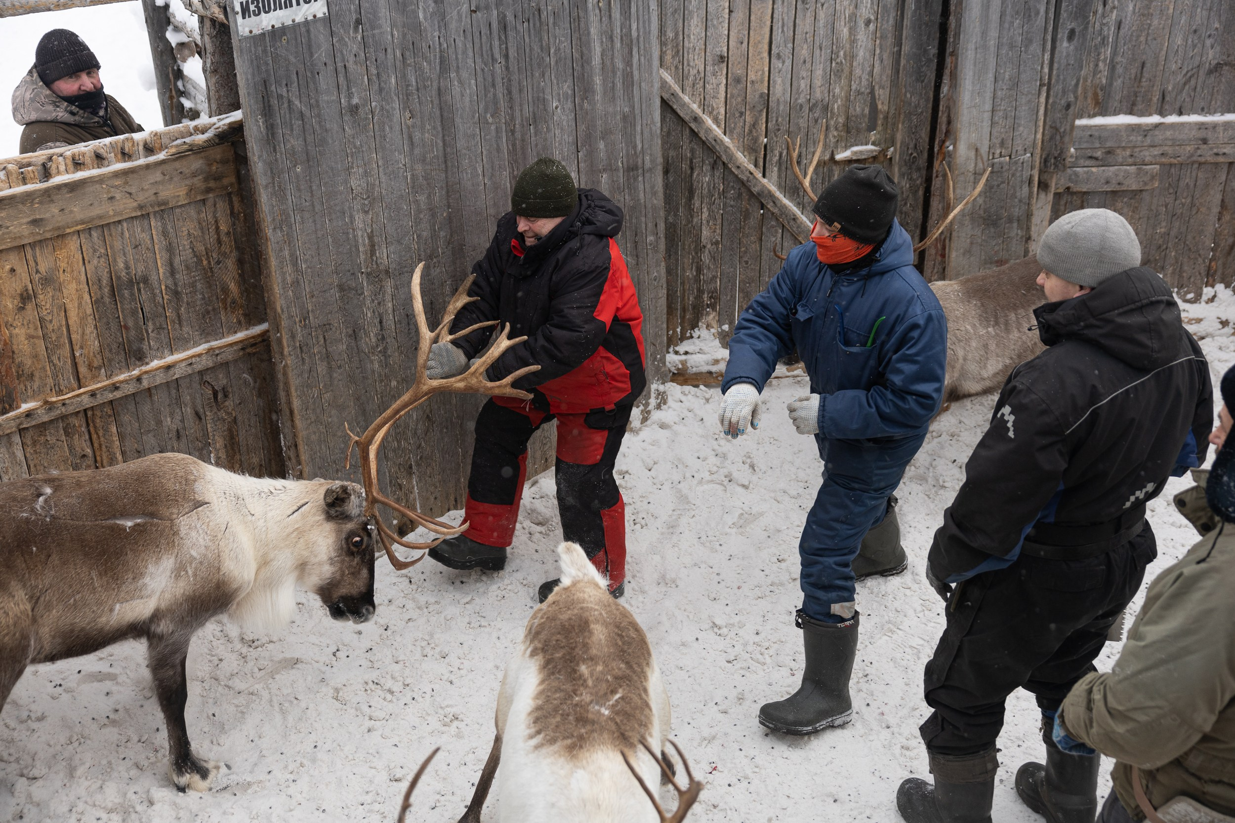 Ловозеро. Оленеводы. Алиса Северная. Визуальные исследования. Пейзажная и документальная фотография