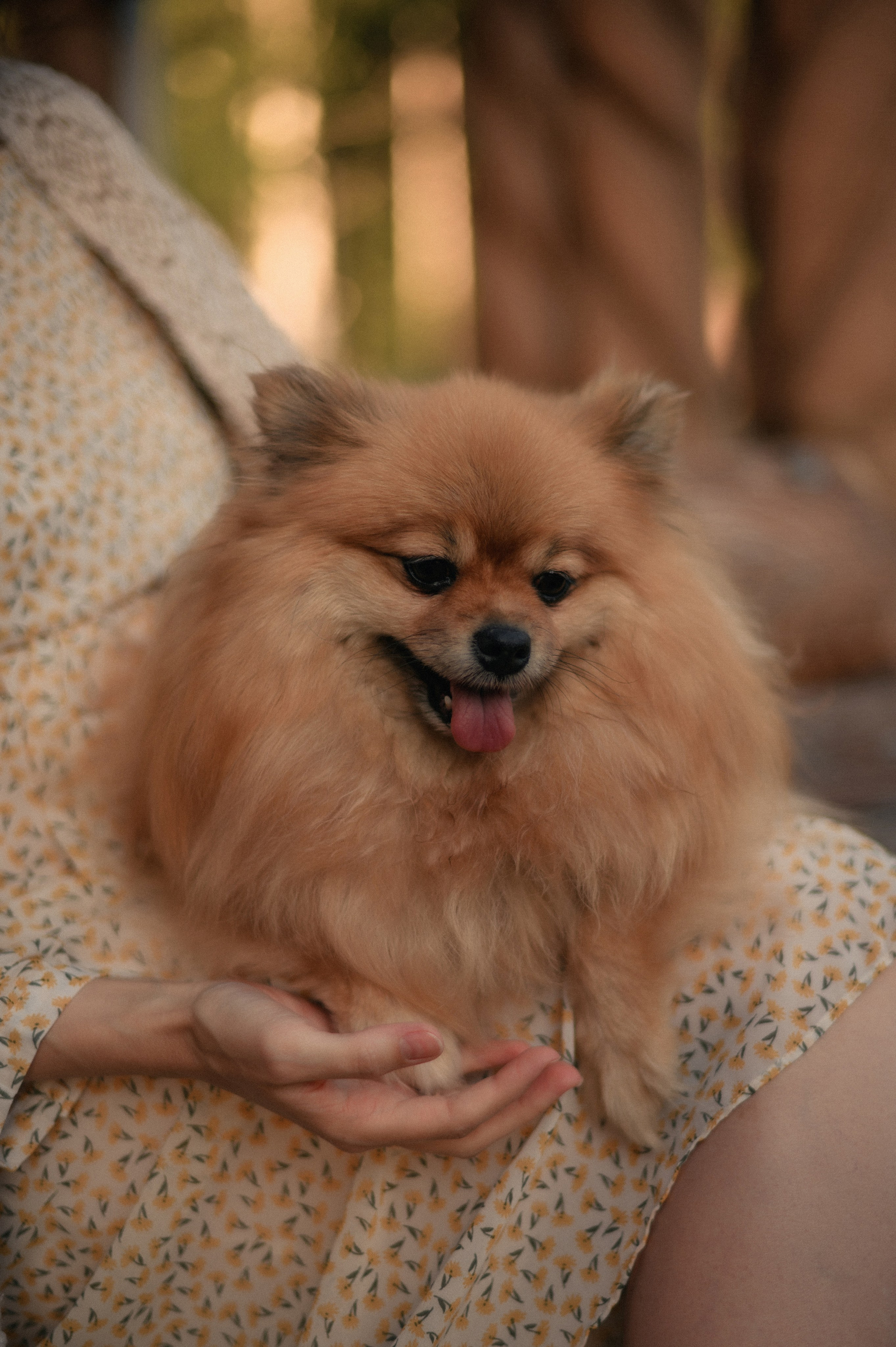 Марина и Петр (в ожидании). Фотограф, г. Лесной Свердловской области