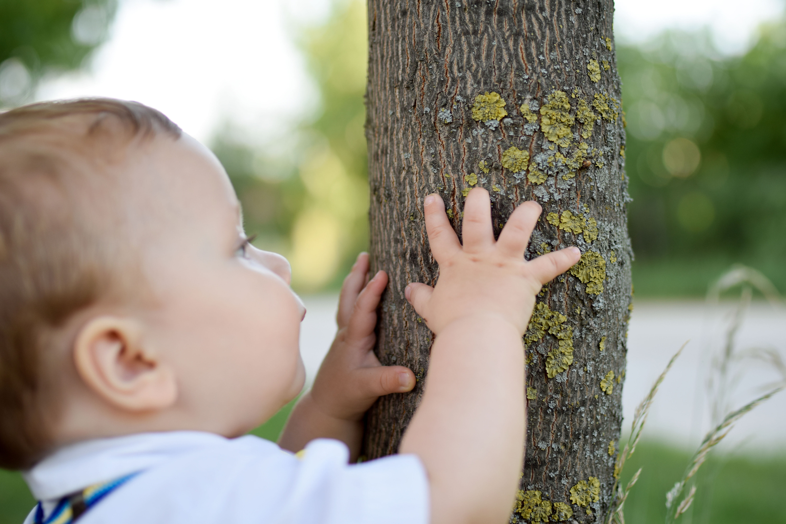 СЕМЕЙНАЯ ФОТОСЕССИЯ НА ПРИРОДЕ. Фотограф в Ялте Инна Найден. Детский и семейный фотограф
