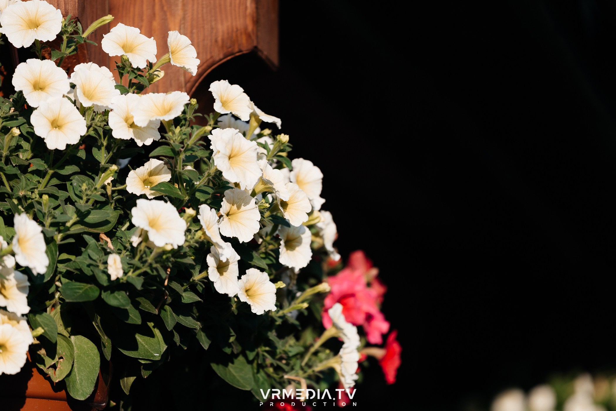 В гостях у «Петровича»