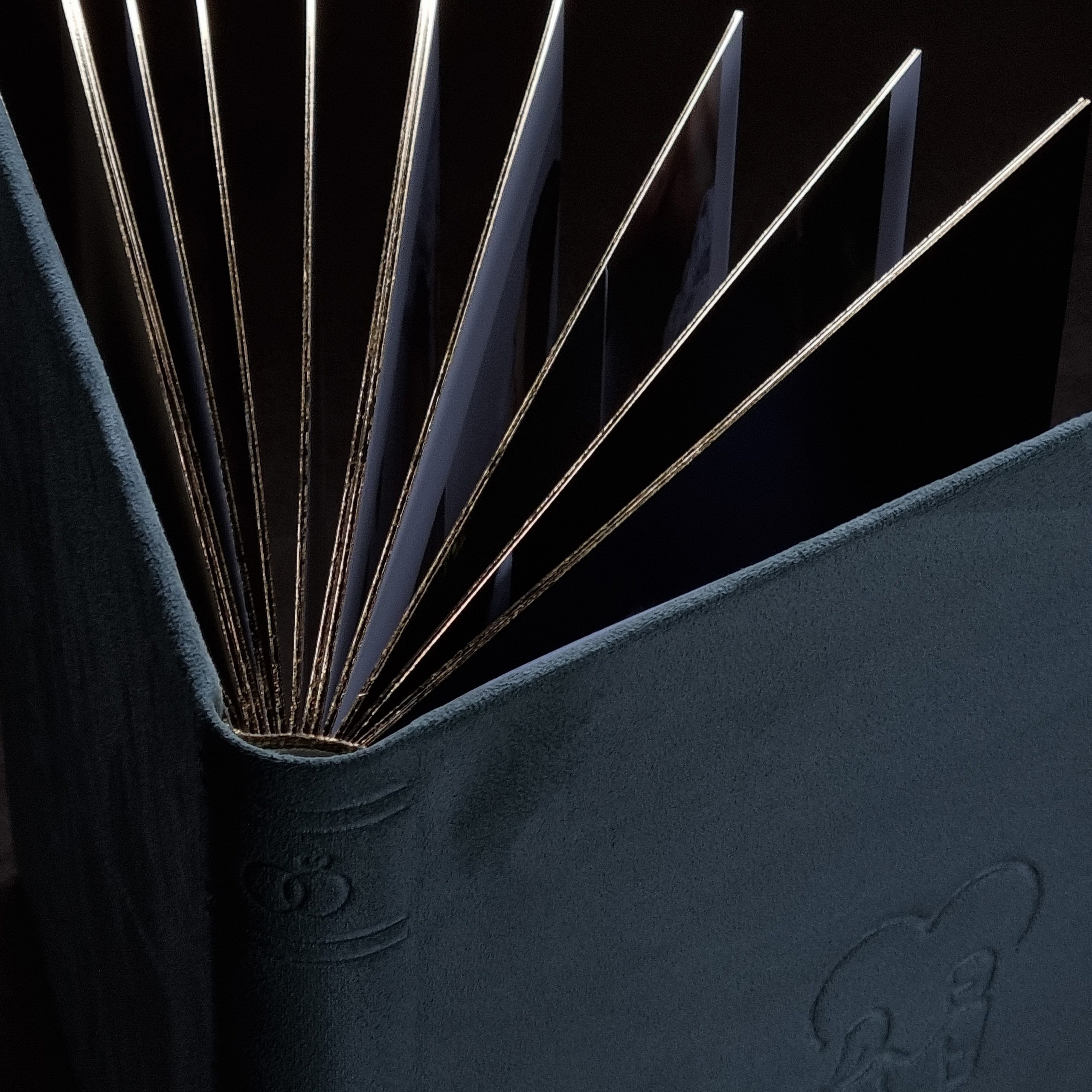 Wedding Book. Свадебный, семейный фотограф в Санкт-Петербурге