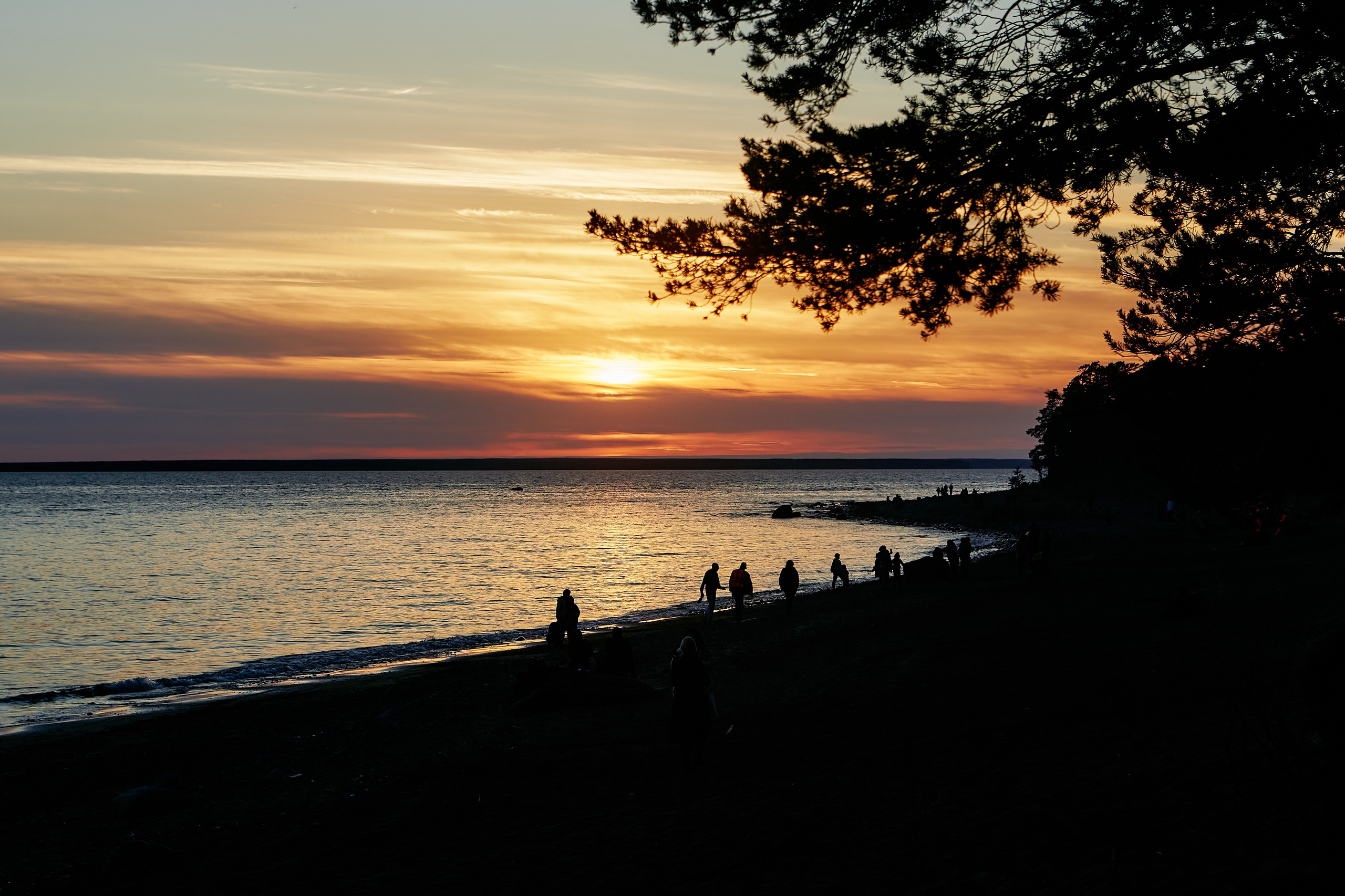 Фестивали. Visual artist Konstantin KoT