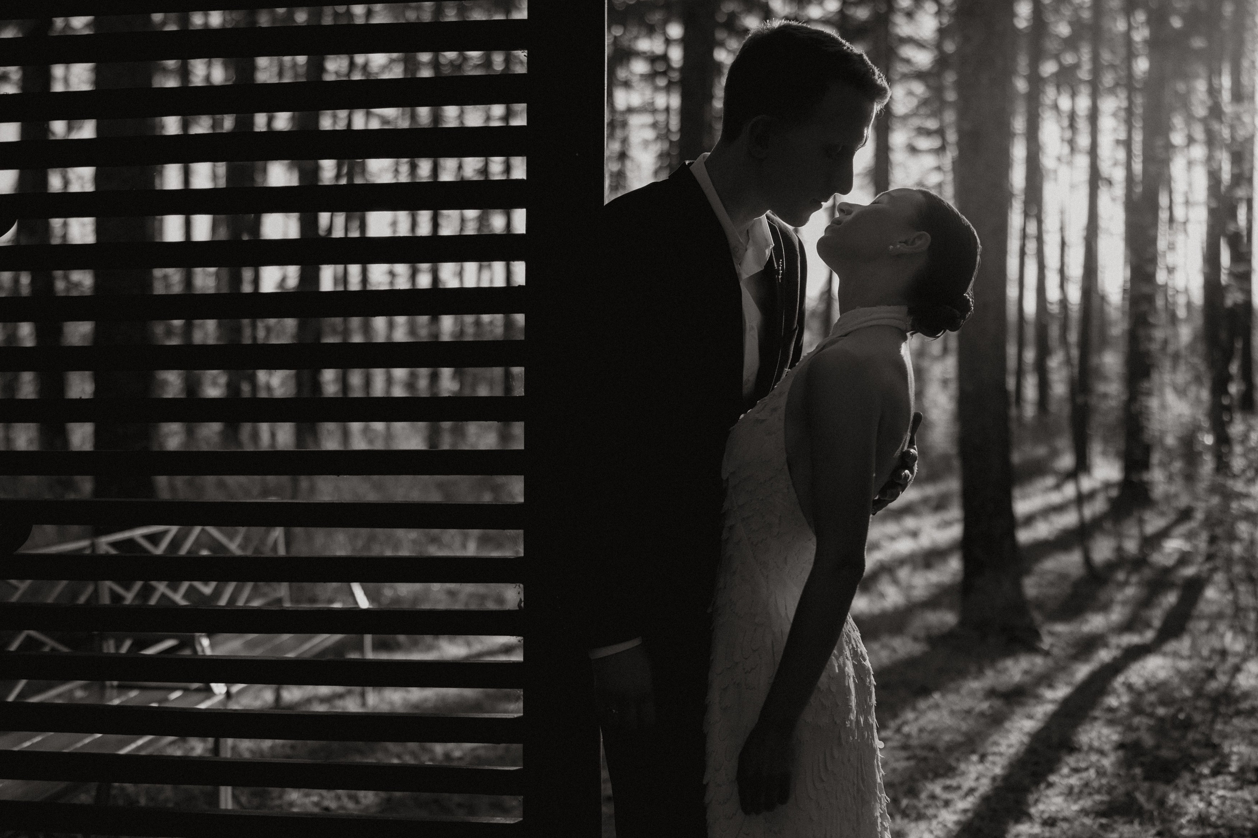 Таня и Егор. Свадебный фотограф в Ярославле Андрей Перегудов