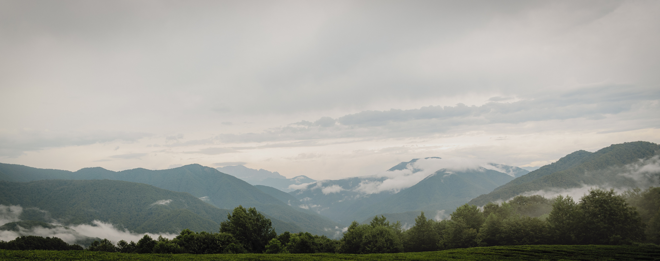 Love Story в Сочи. Свадебный и семейный фотограф в Краснодаре Павел Мельников