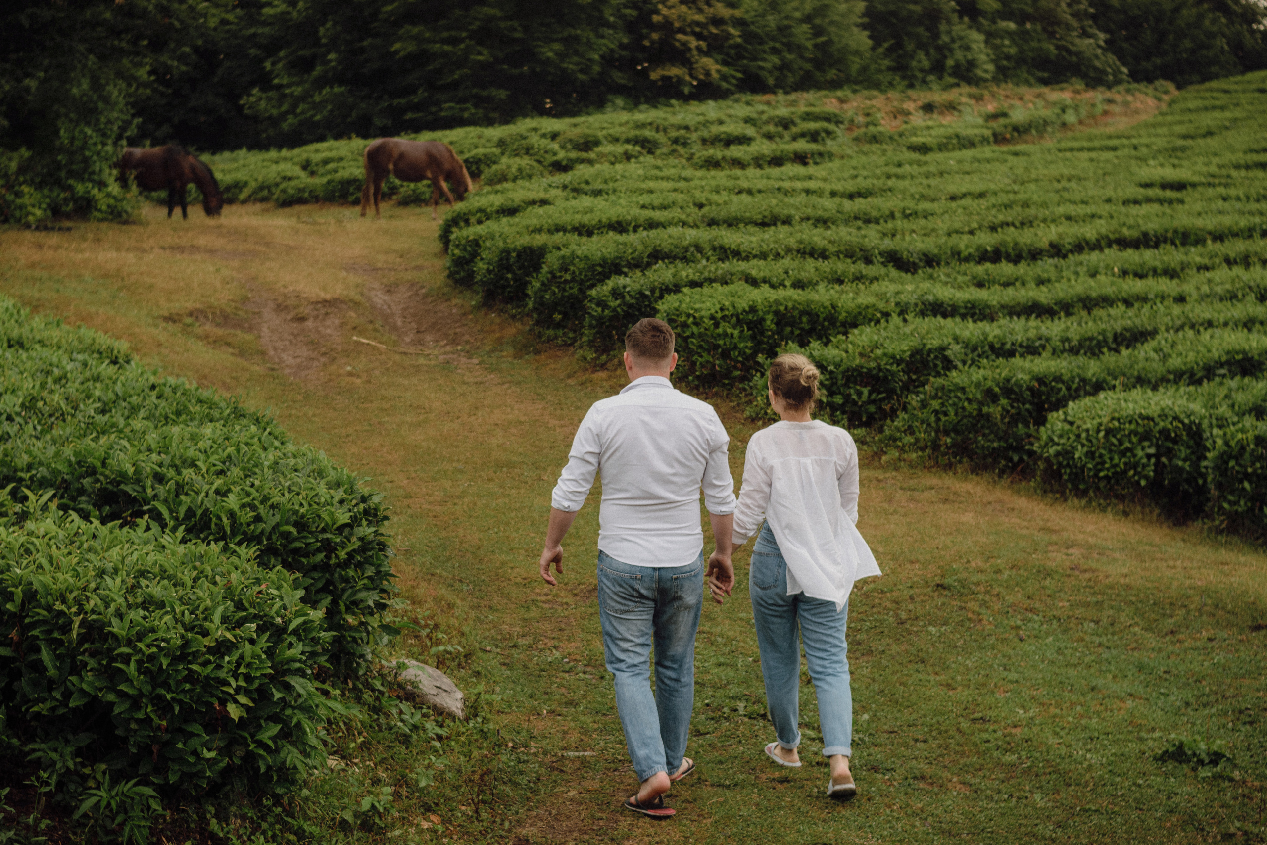 Love Story в Сочи. Свадебный и семейный фотограф в Краснодаре Павел Мельников