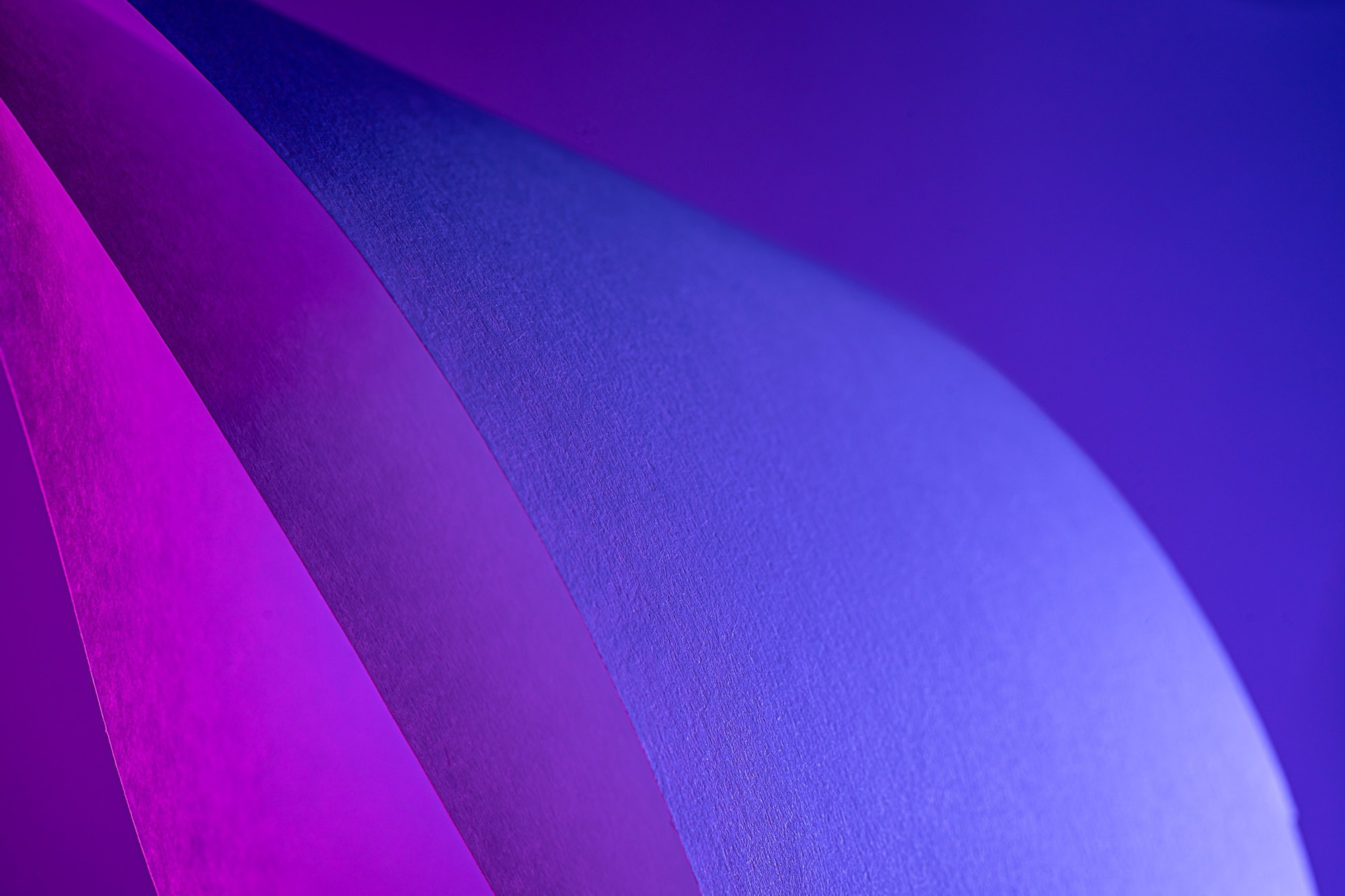 Макро. Предметный фотограф в Воронеже Дмитрий Игнатов