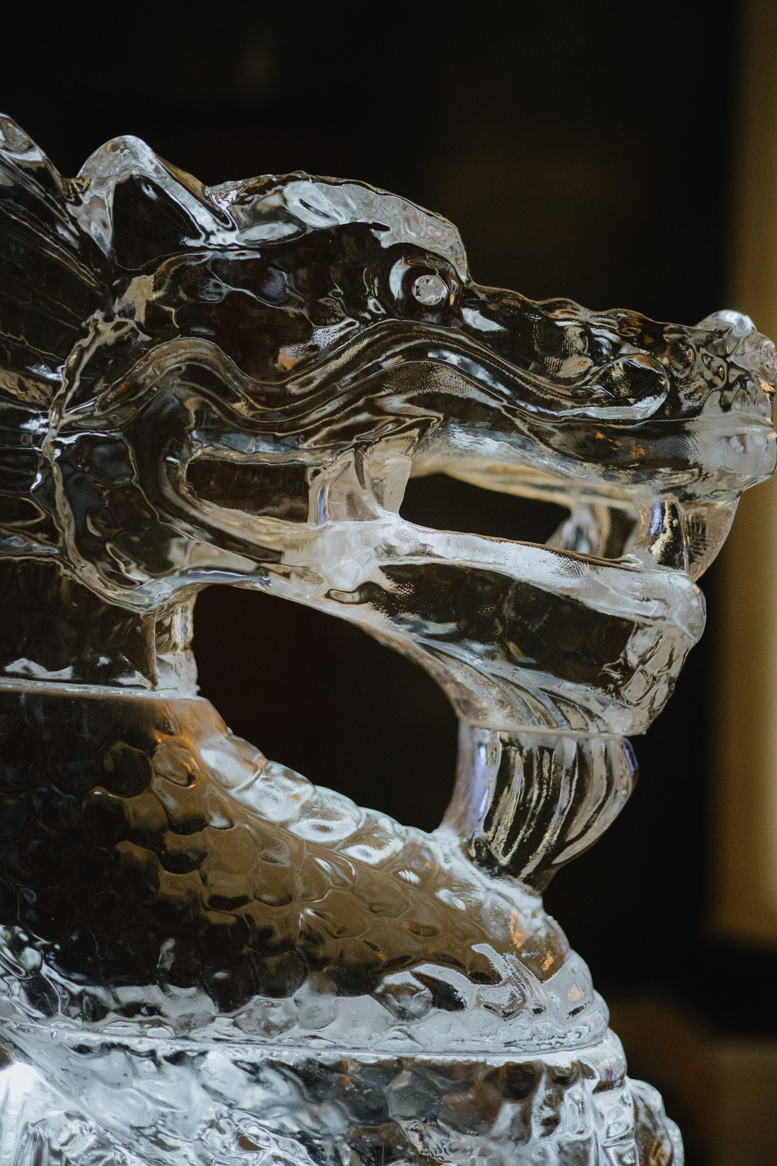 Новый год в отеле Wawelberg. Фотограф в Москве и Санкт-Петербурге Дарина