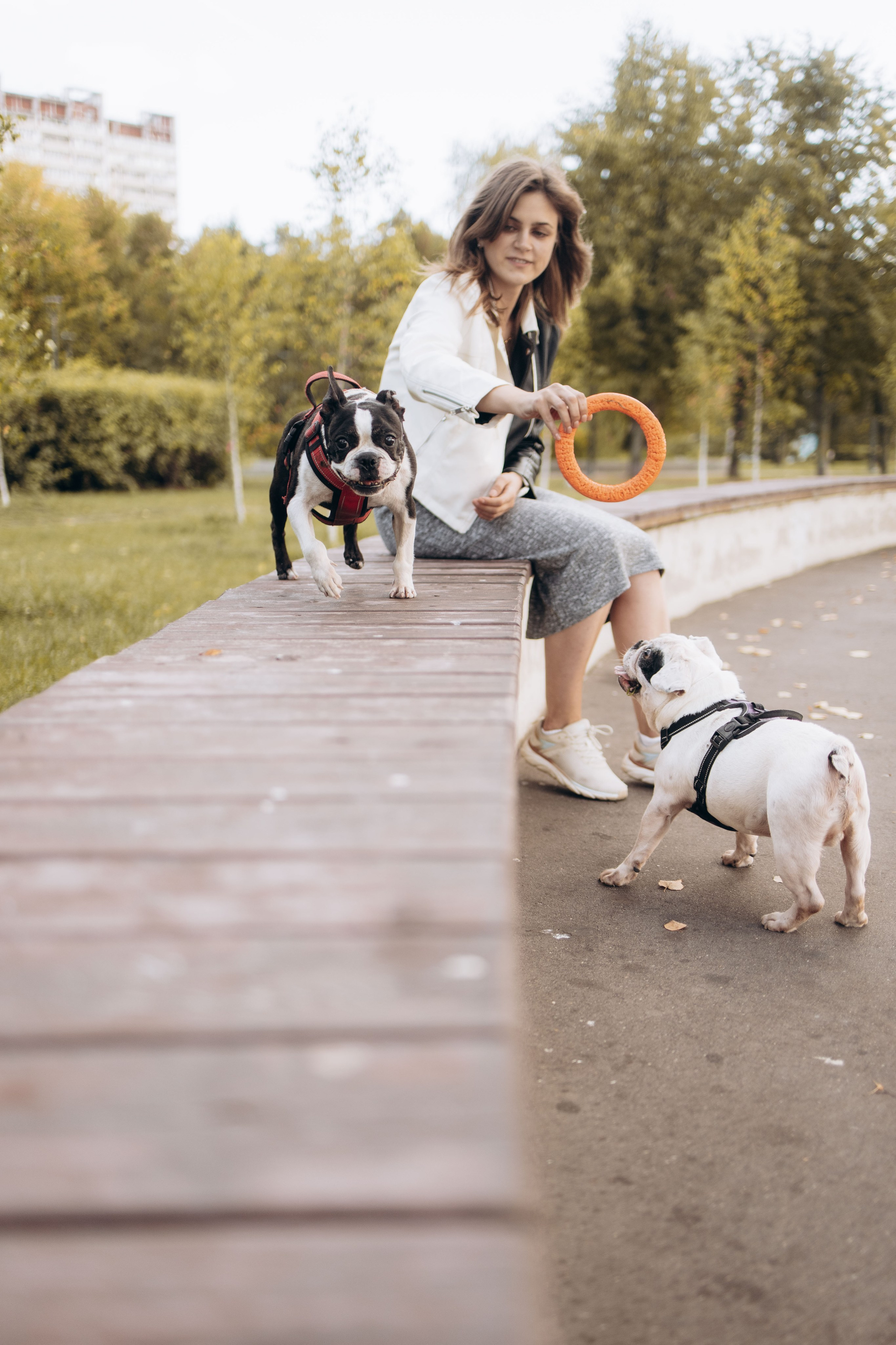 Оля и бульдоги