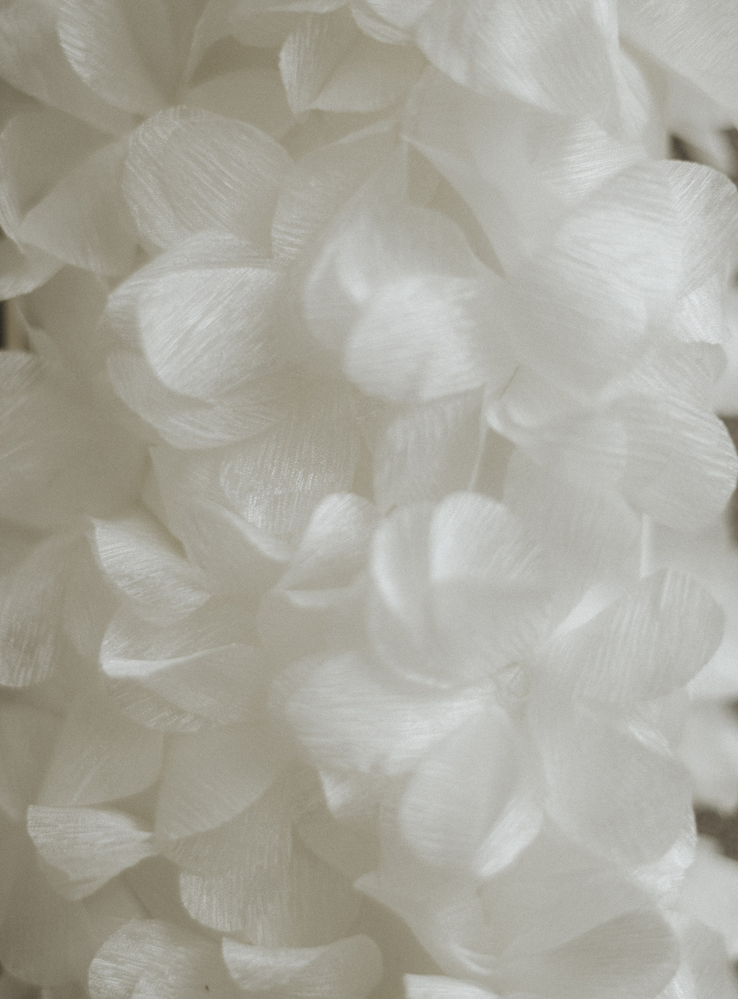 Свадебный фотограф в Ростове-на-Дону Инна Абдул