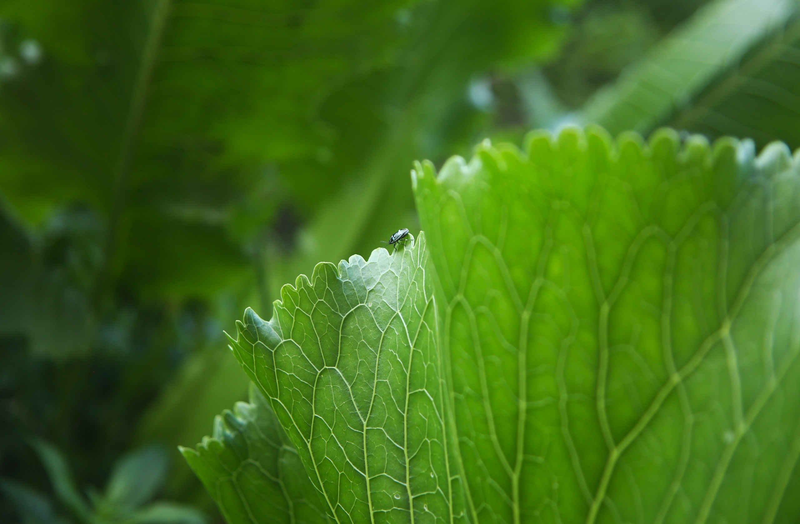 Всё, что я вижу вокруг себя