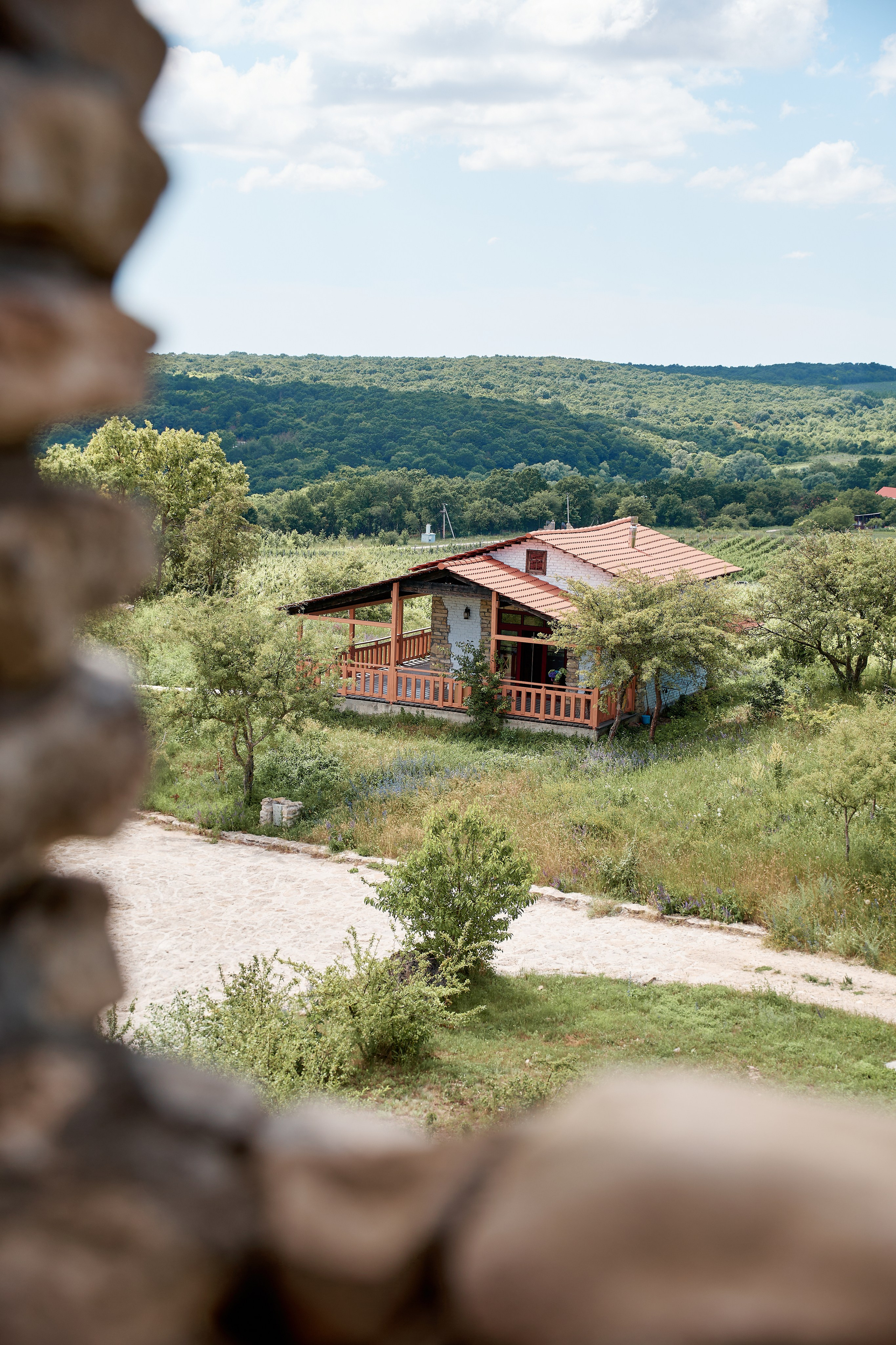 ОДНА ВИНОДЕЛЬНЯ. Репортажный и мужской фотограф в Краснодаре. Фотограф в Краснодаре