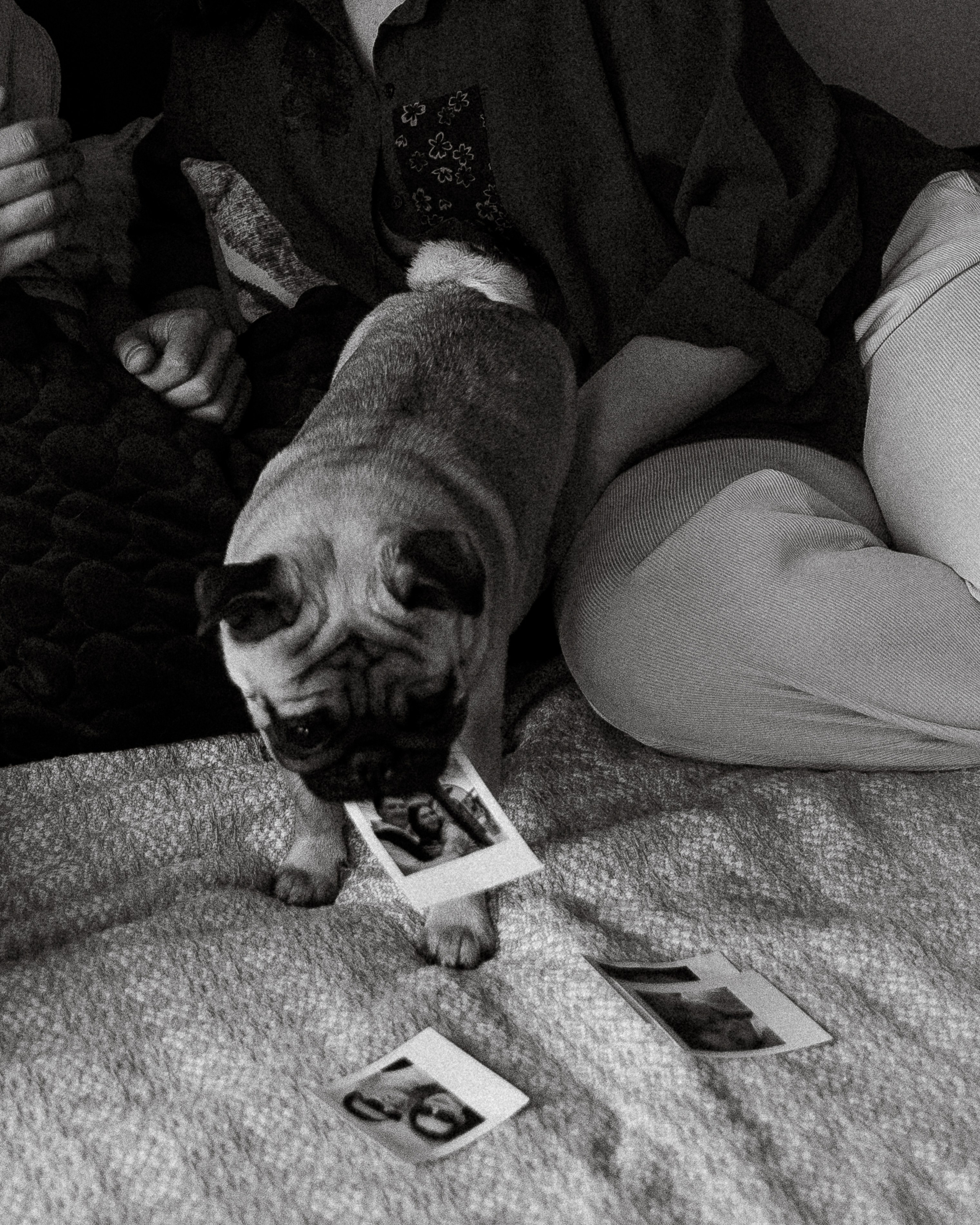 Мы и Федя. Свадебный фотограф Ярославль, Рыбинск