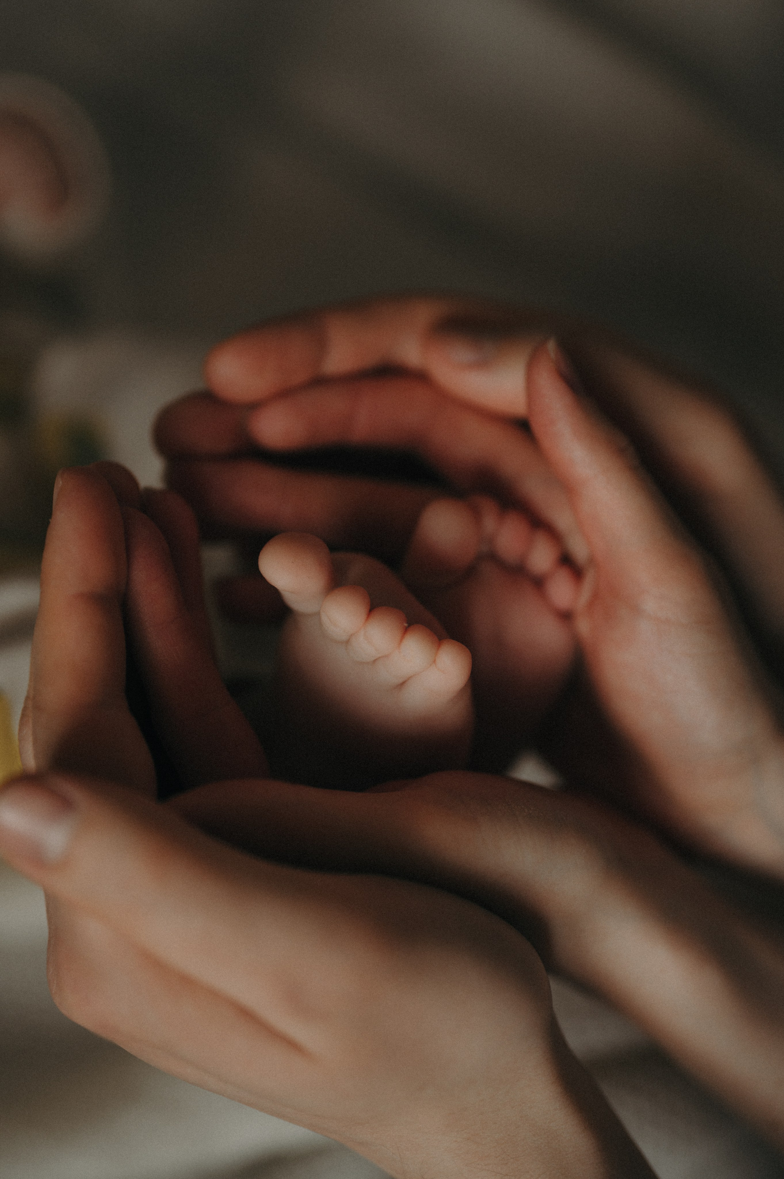 Фотосессия с малышом спб юля лампа. Фотограф новорожденных и беременых в санкт-петербурге Юля Лампа