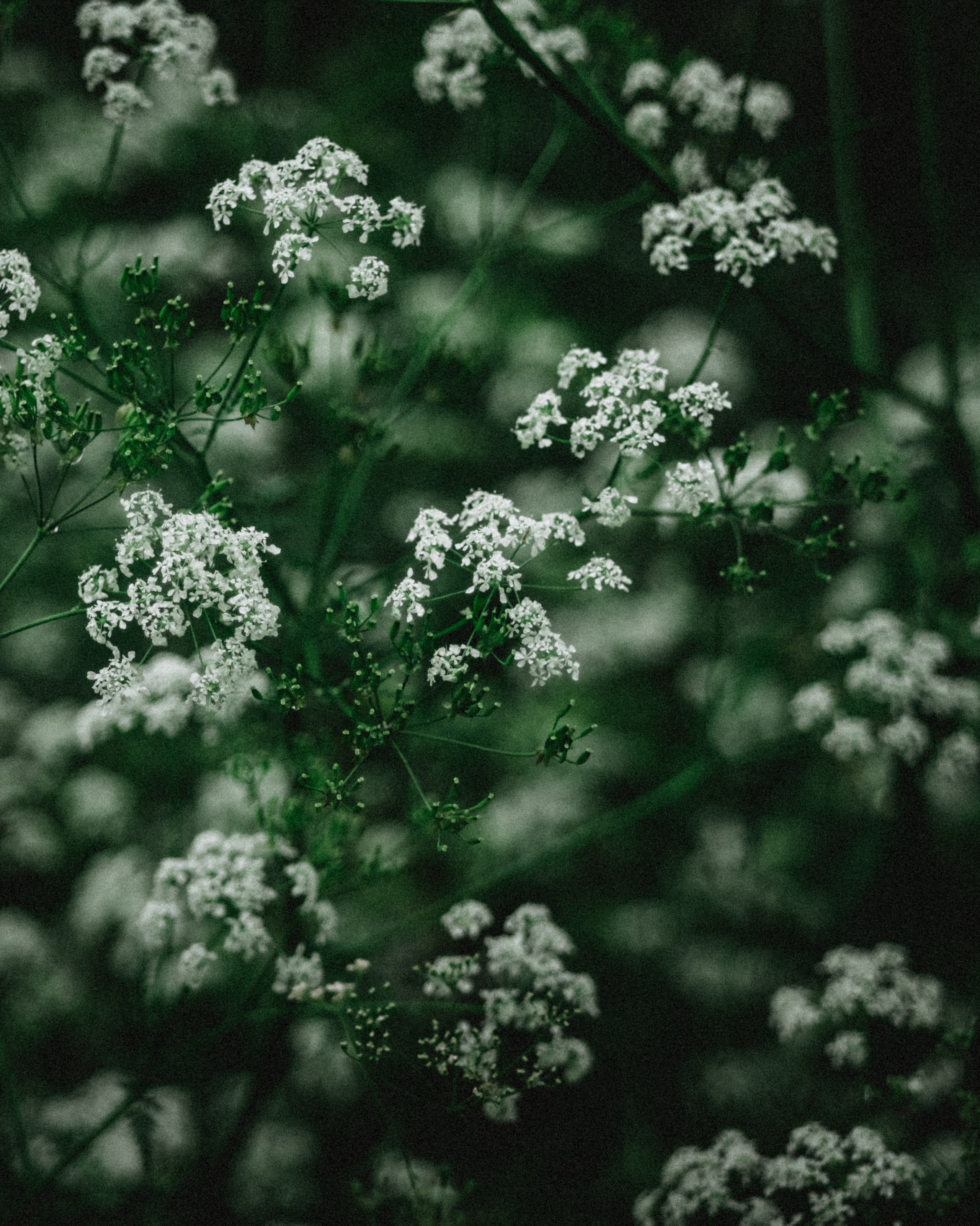 Городская съемка. Кутнов Владислав | Портретная и городская фотосессии | Санкт-Петербург