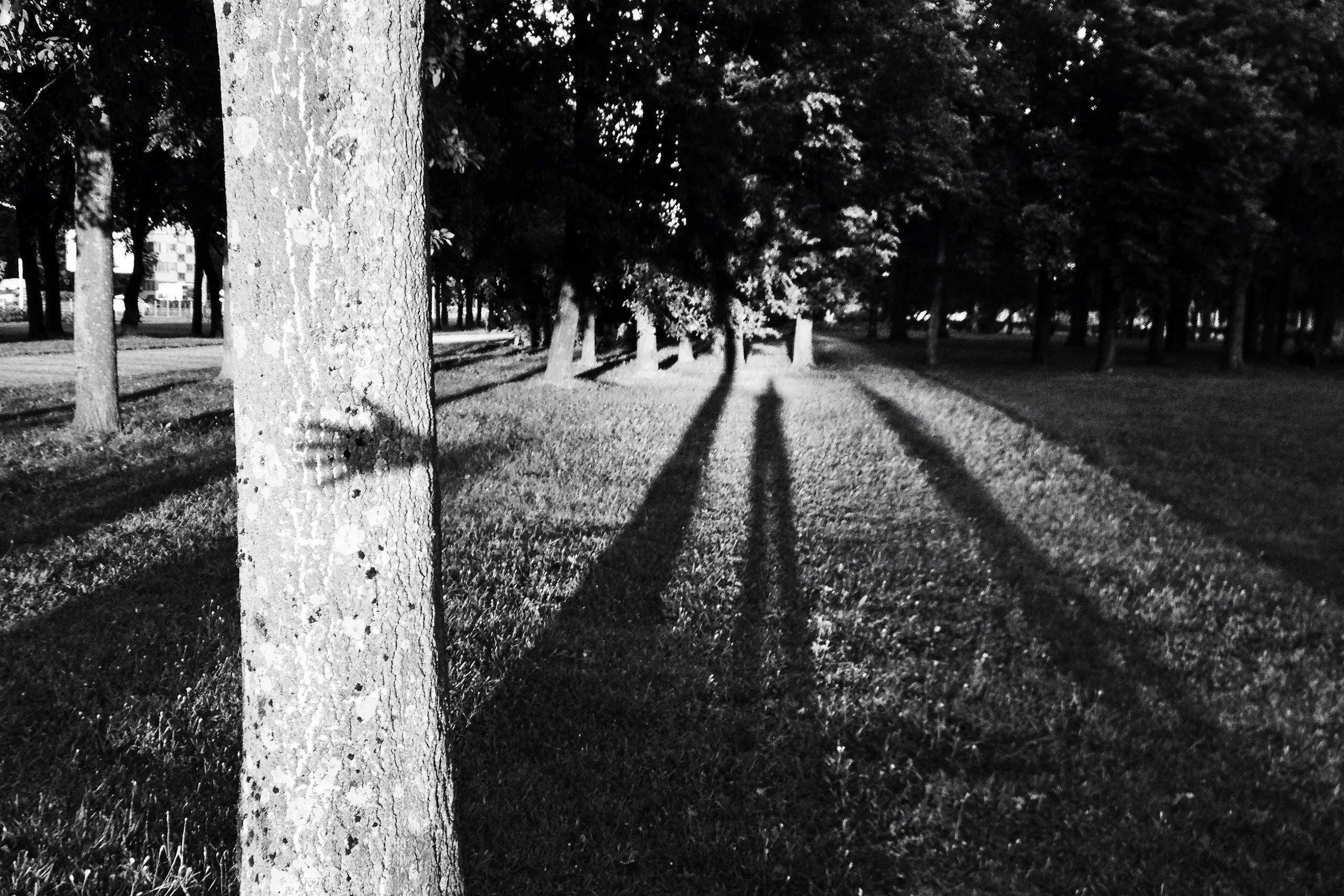 Обо мне. Фотографии Марины Бурнашовой