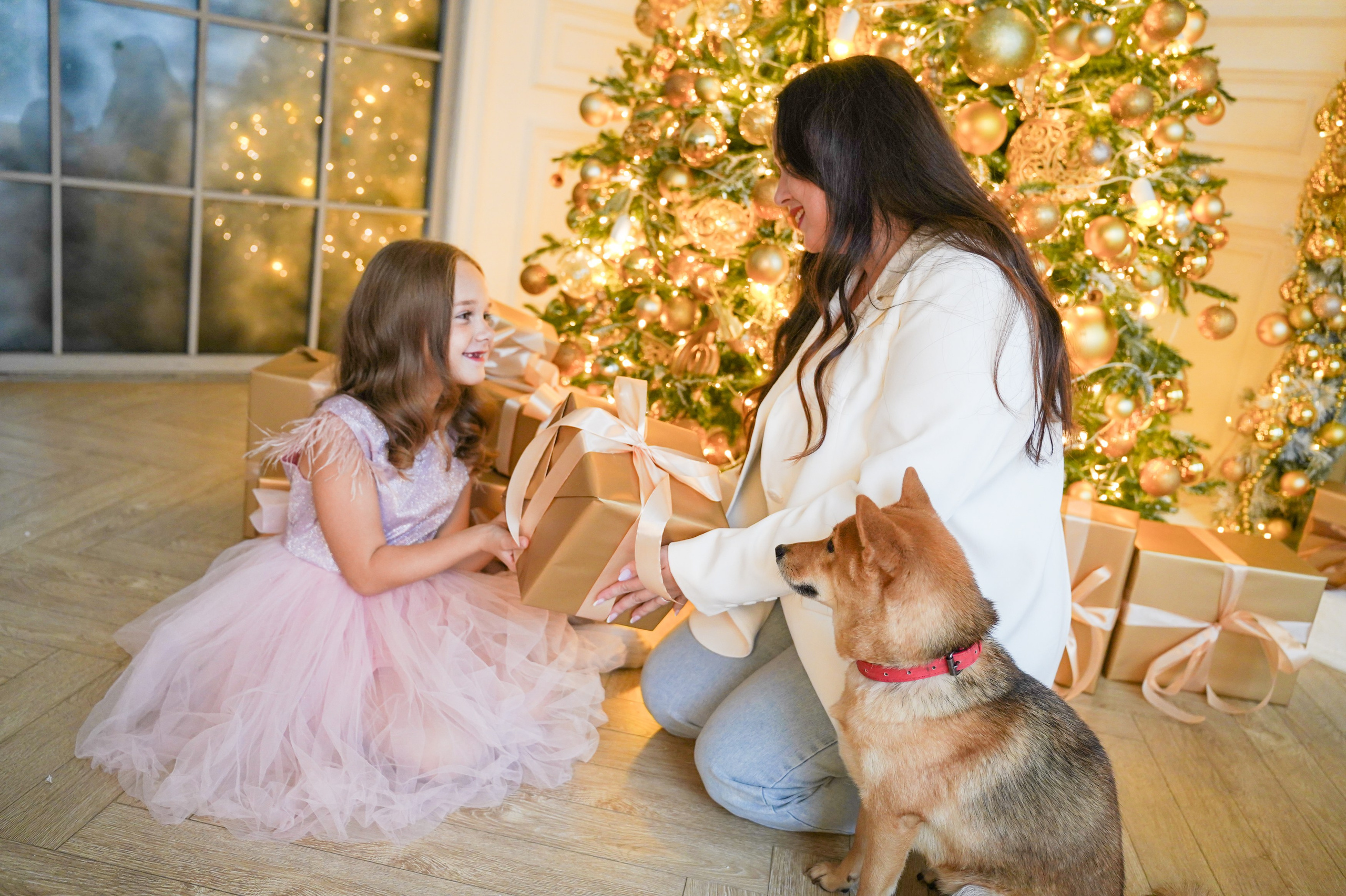 Портфолио. Leibstudio.ru