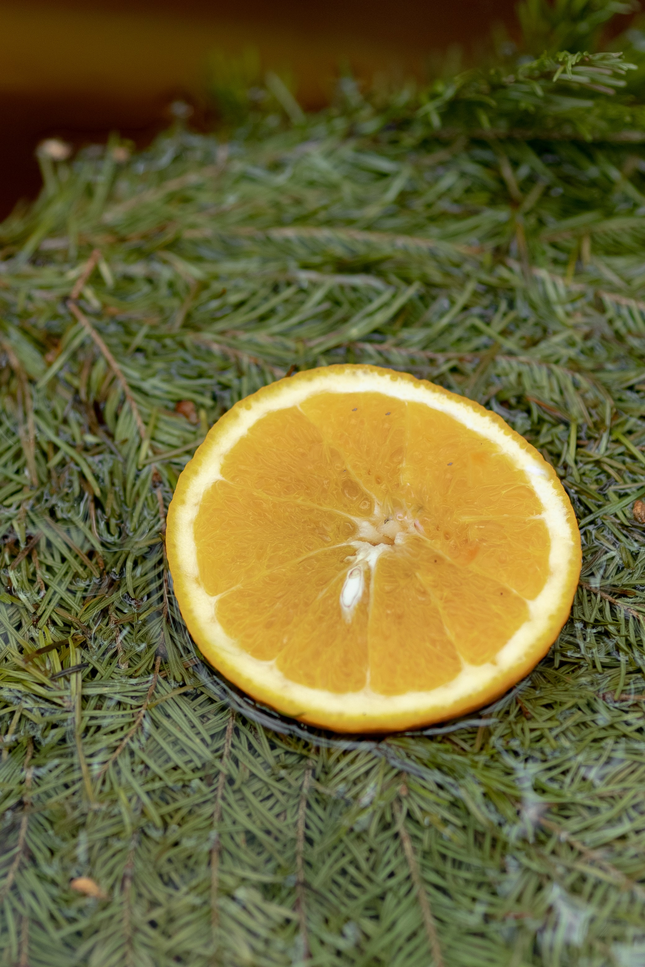 Кавказ Пар. Главная