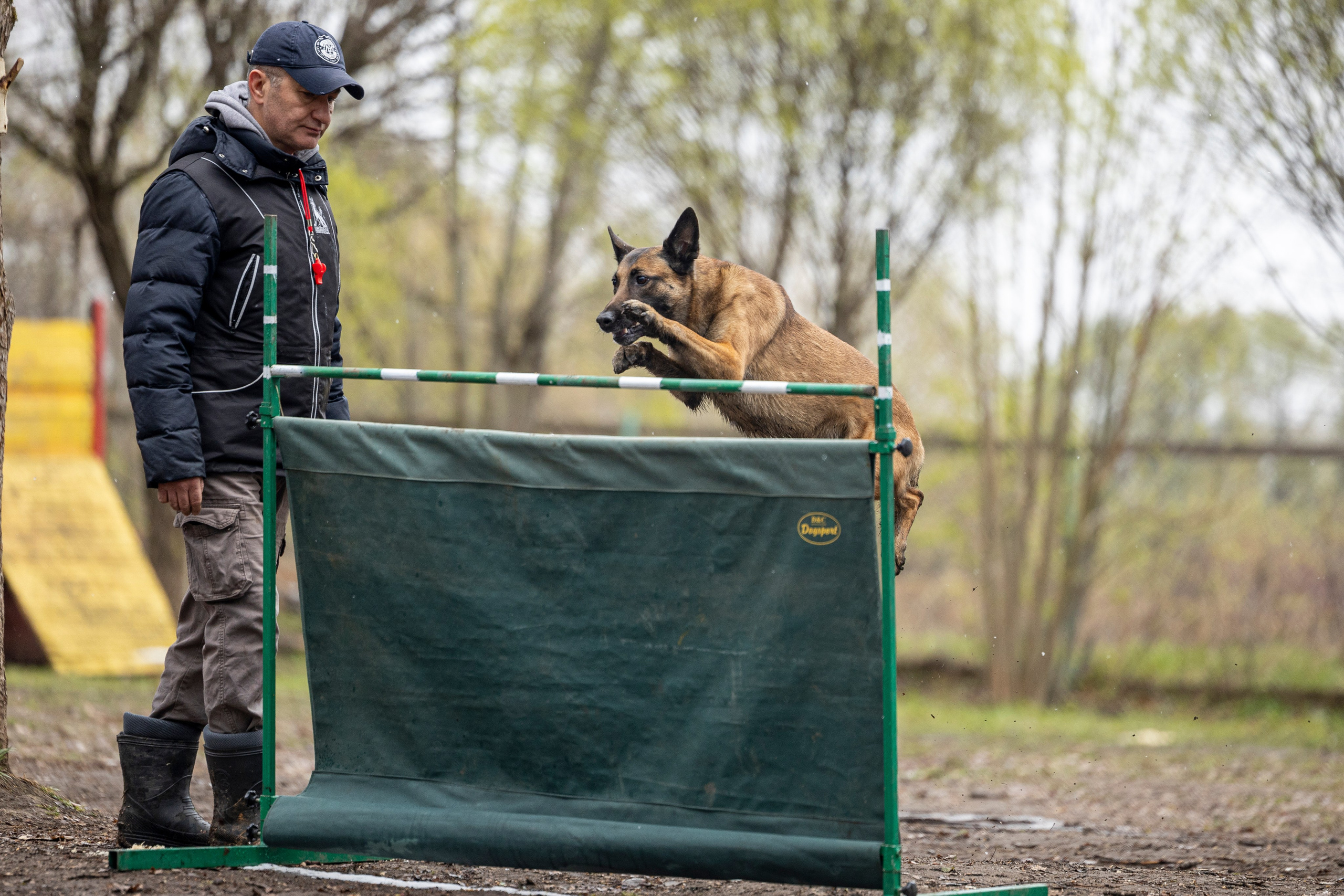 Квалификационные состязания по мондьорингу г. Вологда 11.05.24. Фотограф-анималист Анна Маринич