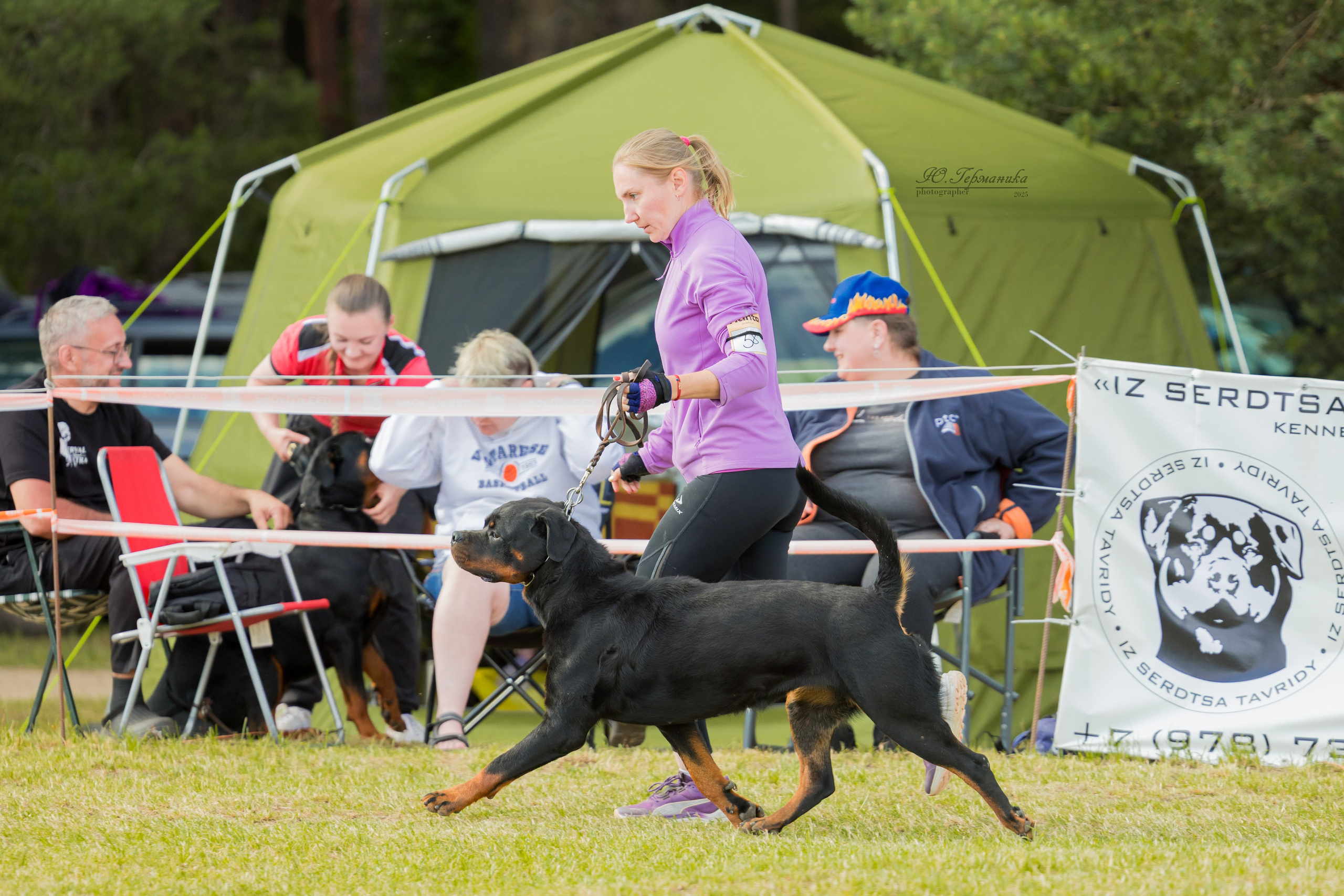 Тверь ротвейлеры 5-6.07.2025. Фотограф-анималист Юлия Германика