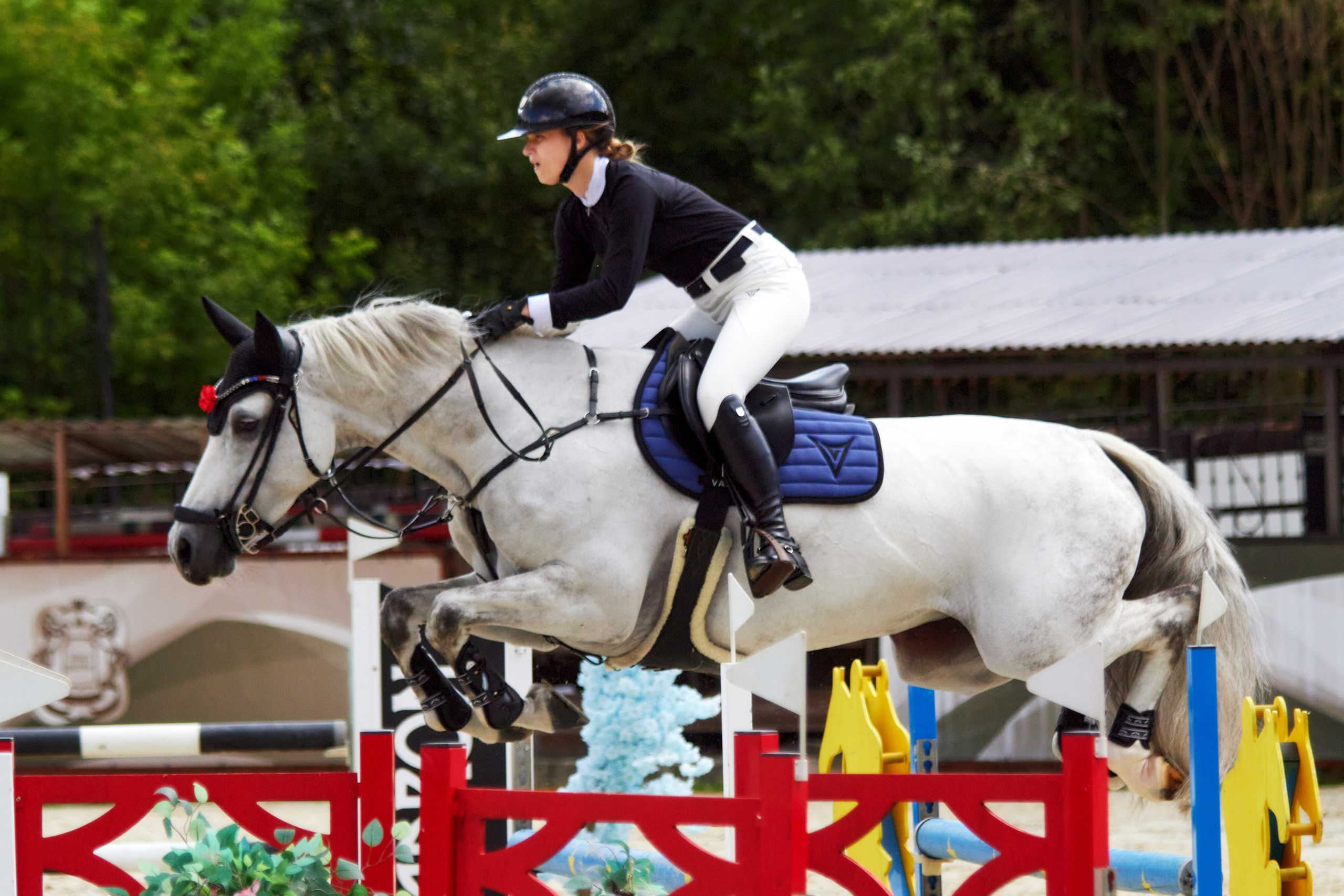 Конкур в «Виват, Россия». Фотограф анималист — Тула, Москва