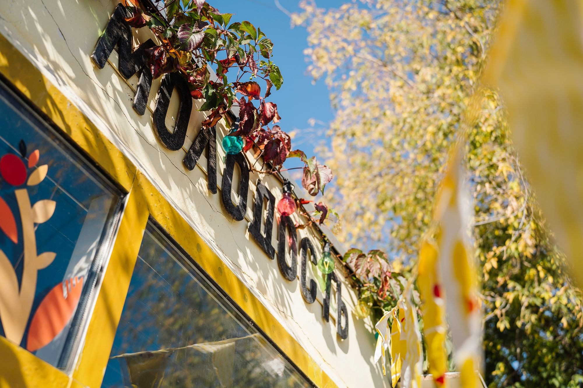 Росмолодежь бизнес