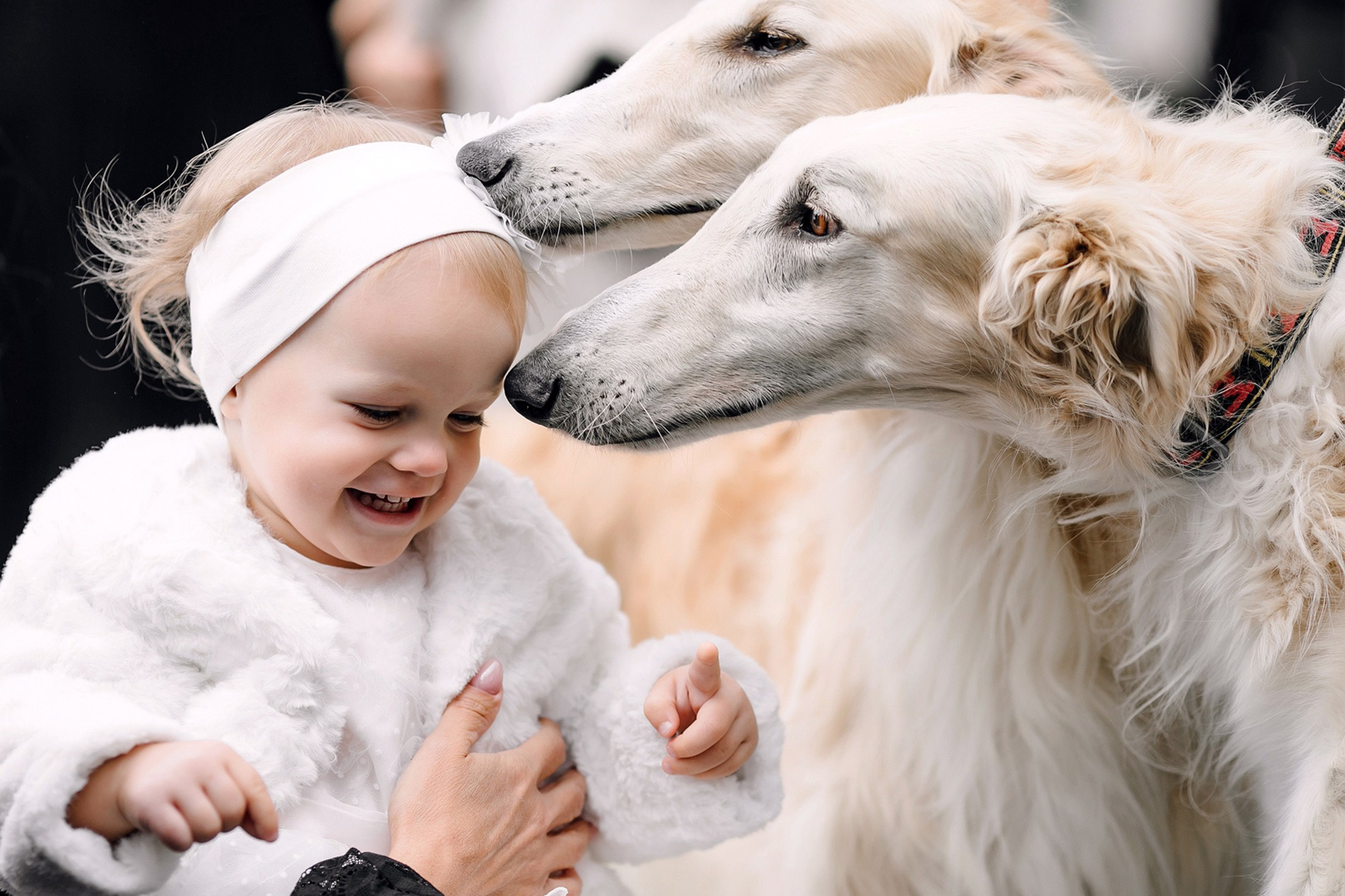 Саша и Маша. Любовь Чуляева — свадебный фотограф в Москве и Европе