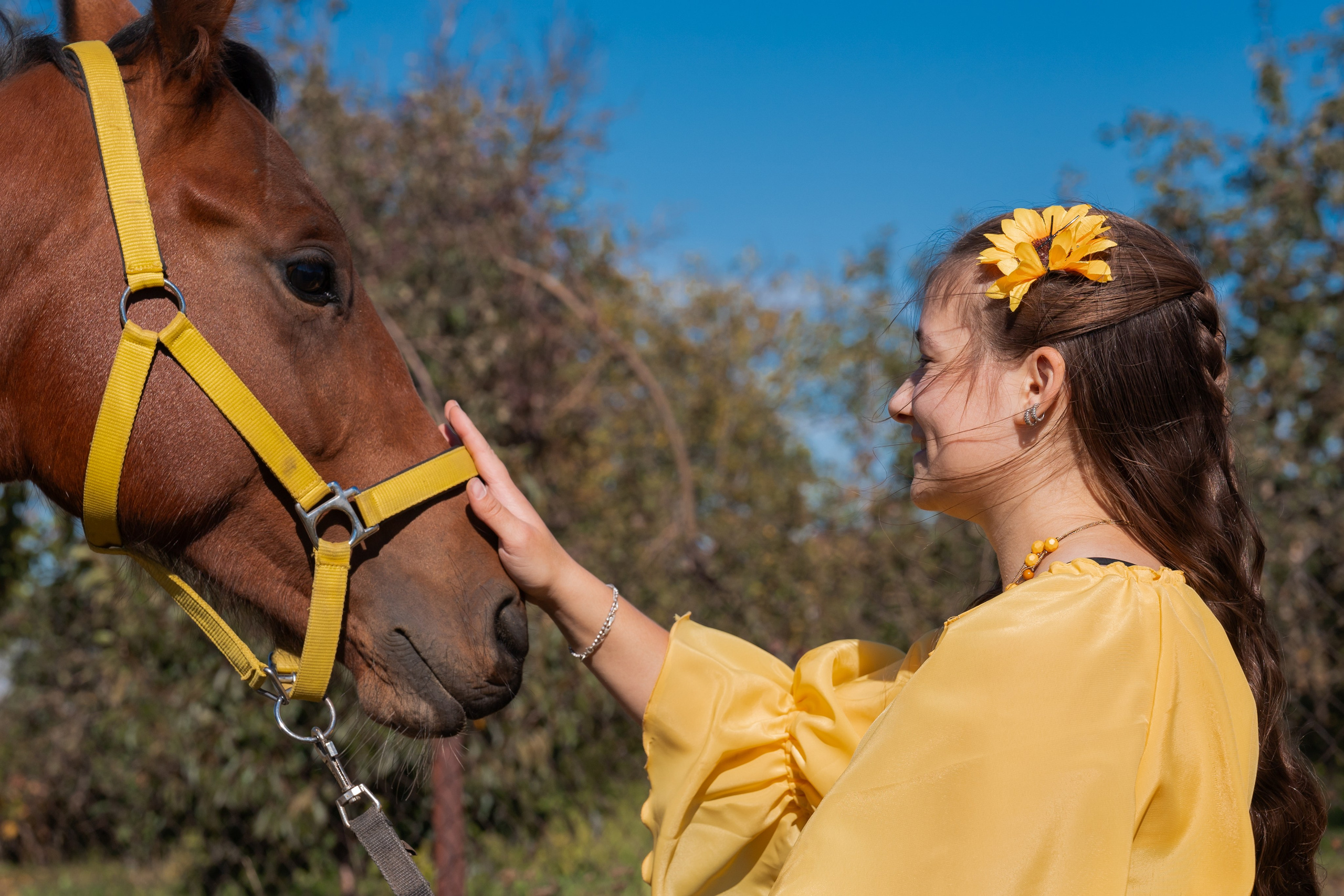 Фотосессия с лошадьми