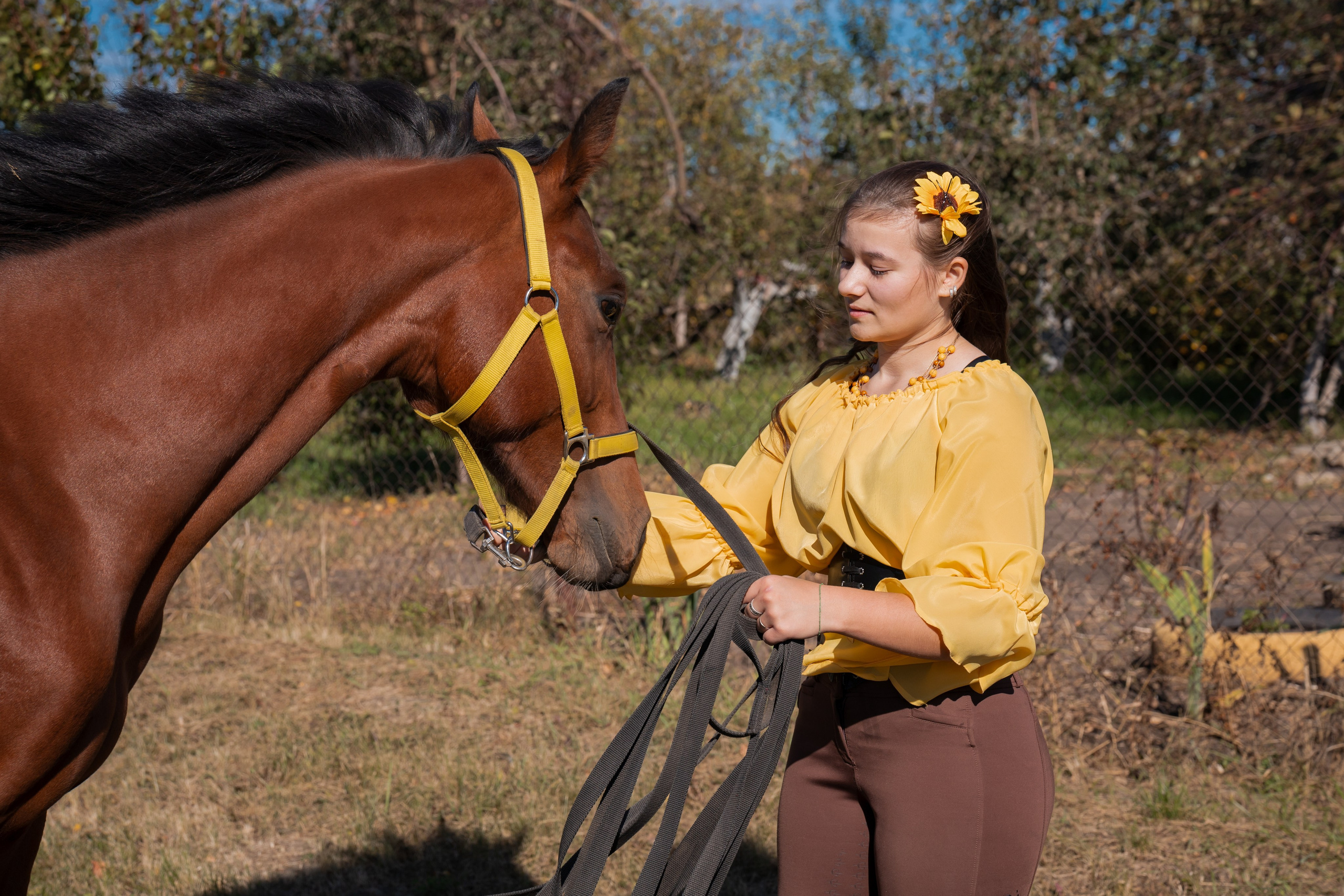 Фотосессия с лошадьми