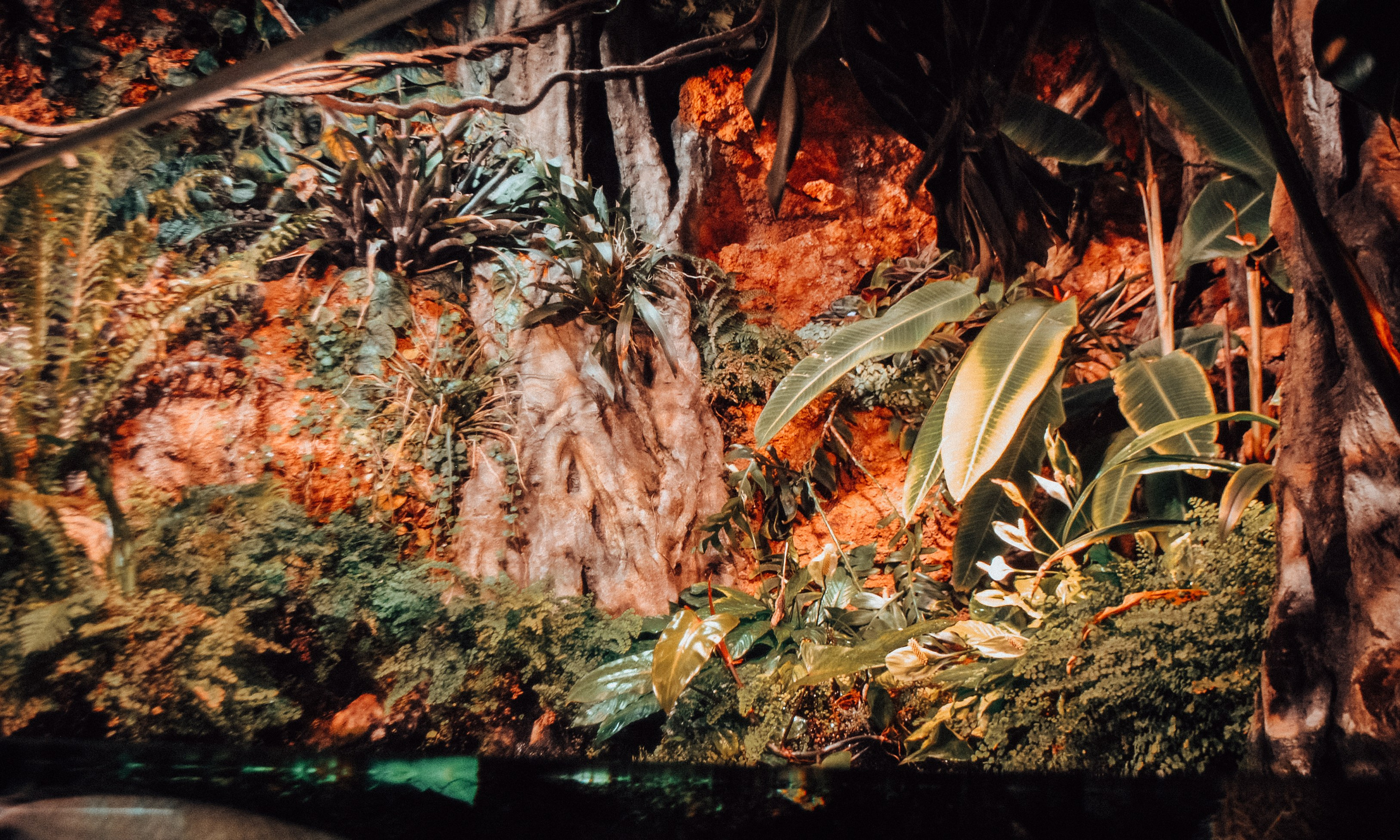 Аквапарк. Портретный фотограф DanilNabody