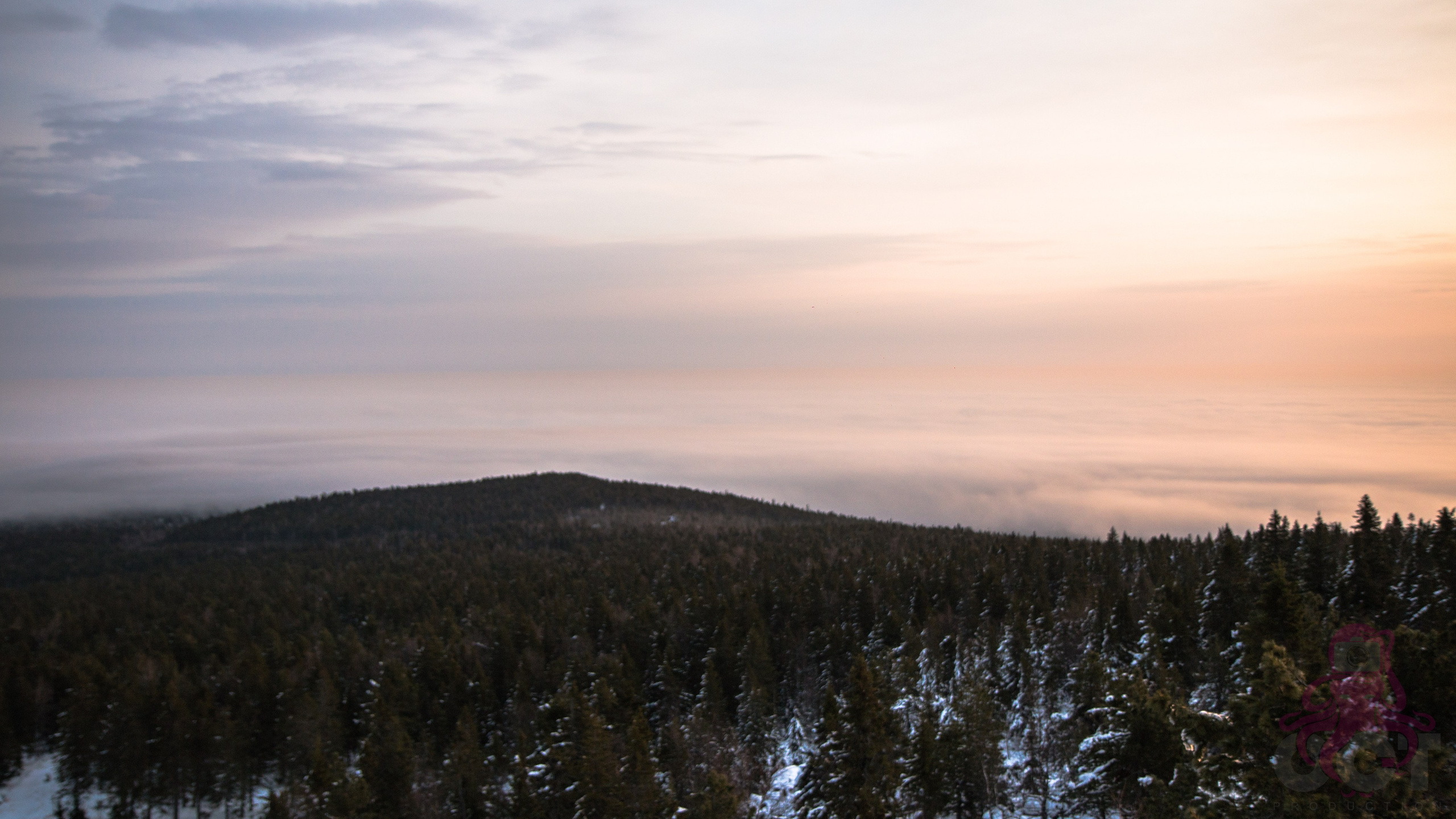 Буддистский монастырь Шад Тчуп Линг. Предметный и репортажный фотограф Алексей Кротов