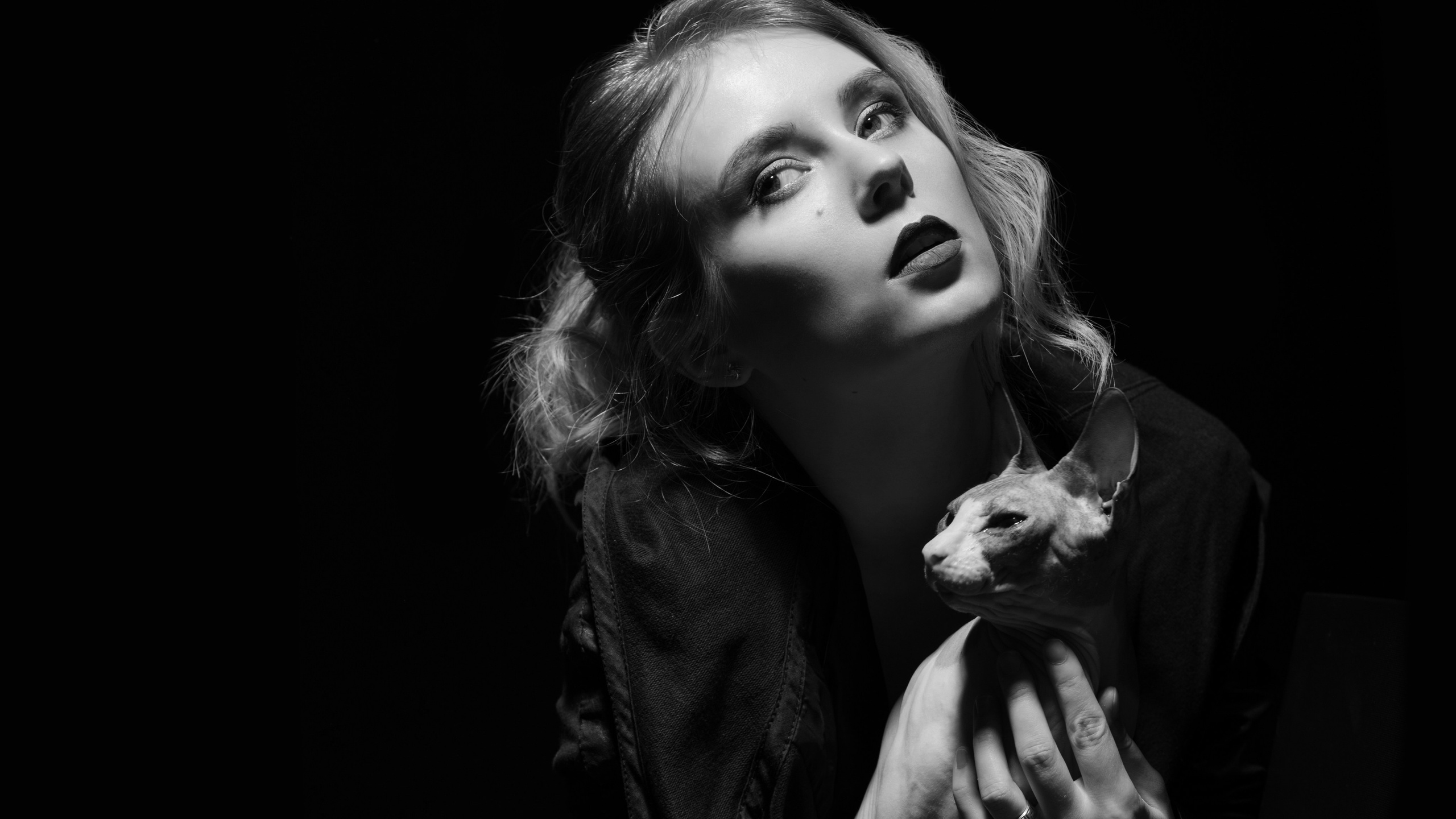 Стильная чёрно-белая фотография девушки с котом сфинксом