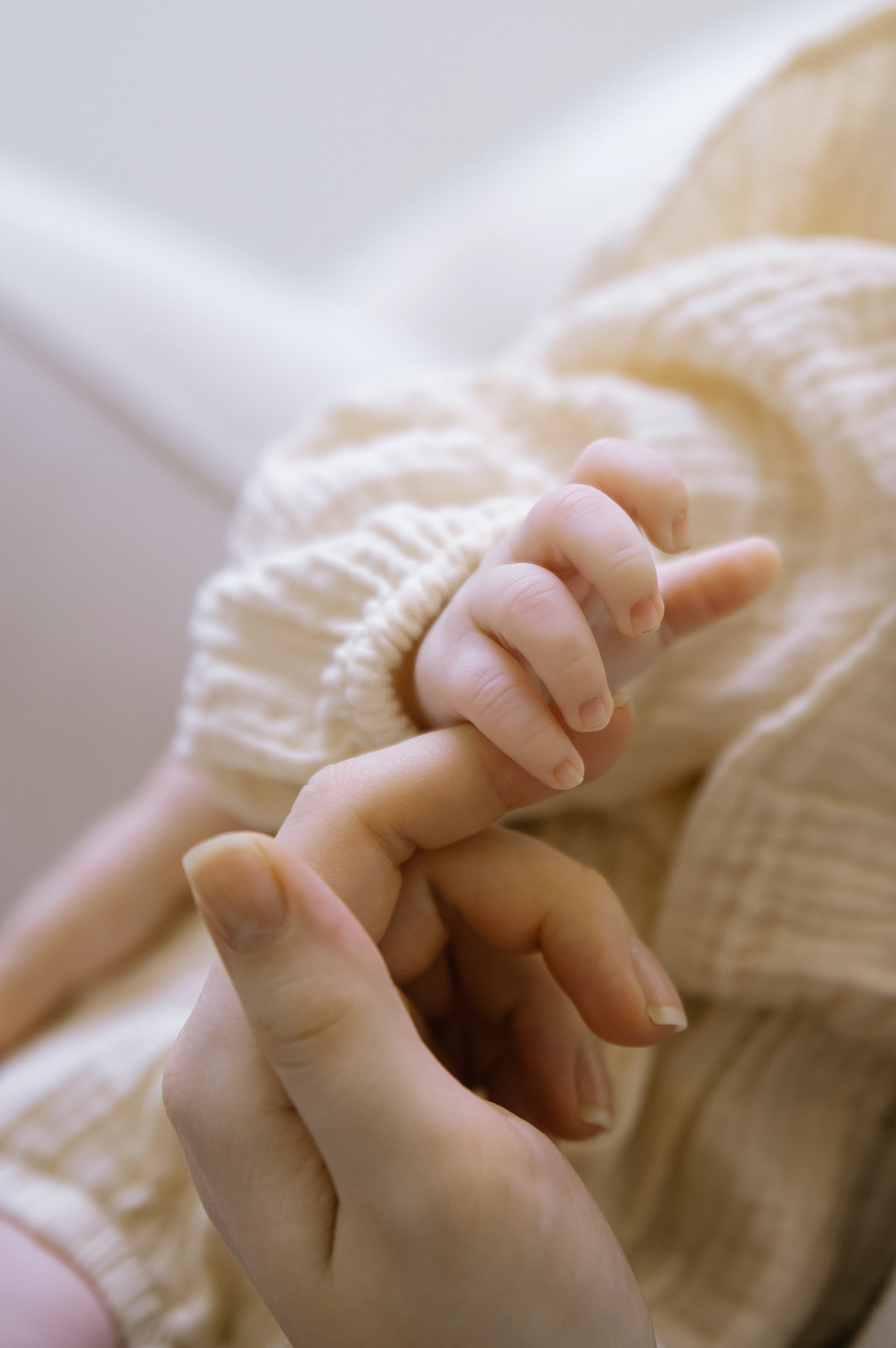 Кирилл, Настя, Евочка. Свадебный фотограф Екатерина Зайцева Краснодар