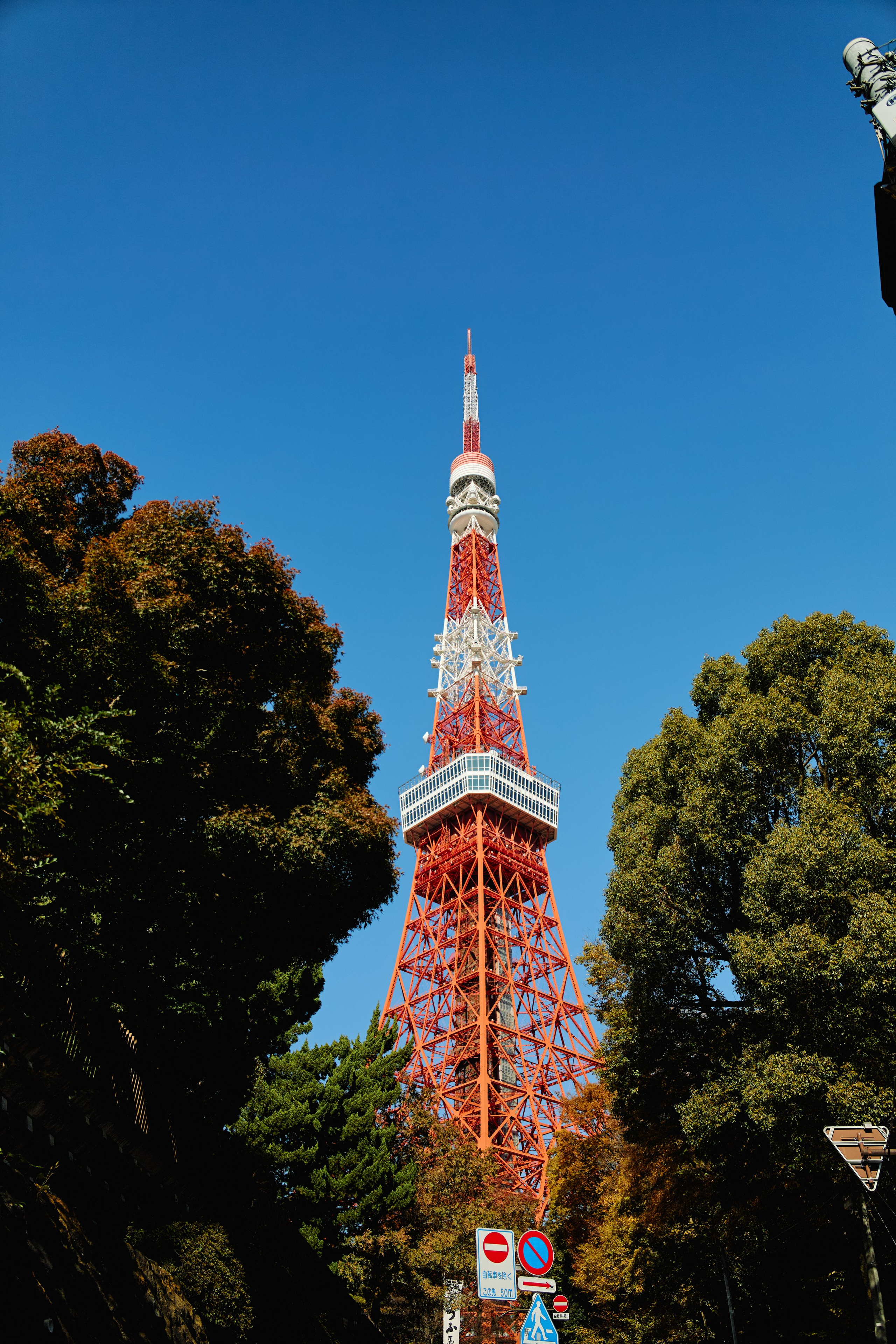 Япония. Профессиональный Фотограф во Владимире, в Москве и в Суздале — Полина Романычева
