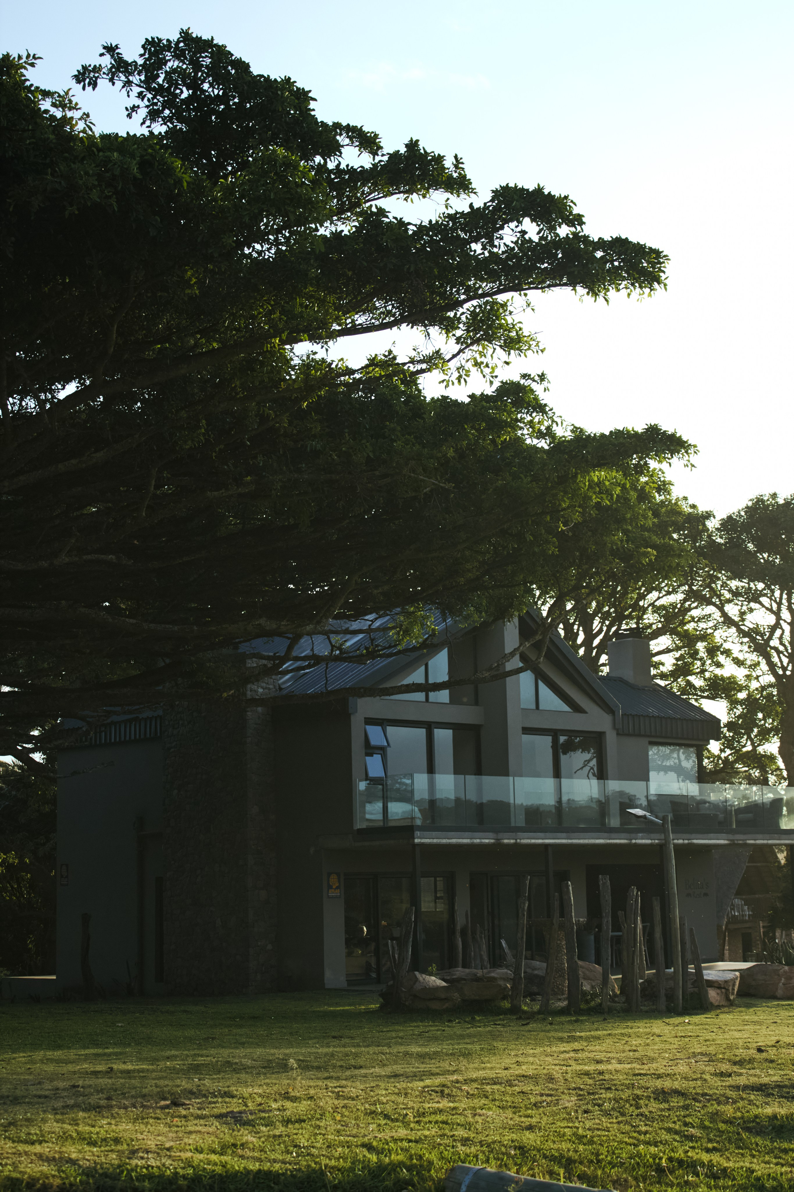 ЮАР. Профессиональный Фотограф во Владимире, в Москве и в Суздале — Полина Романычева