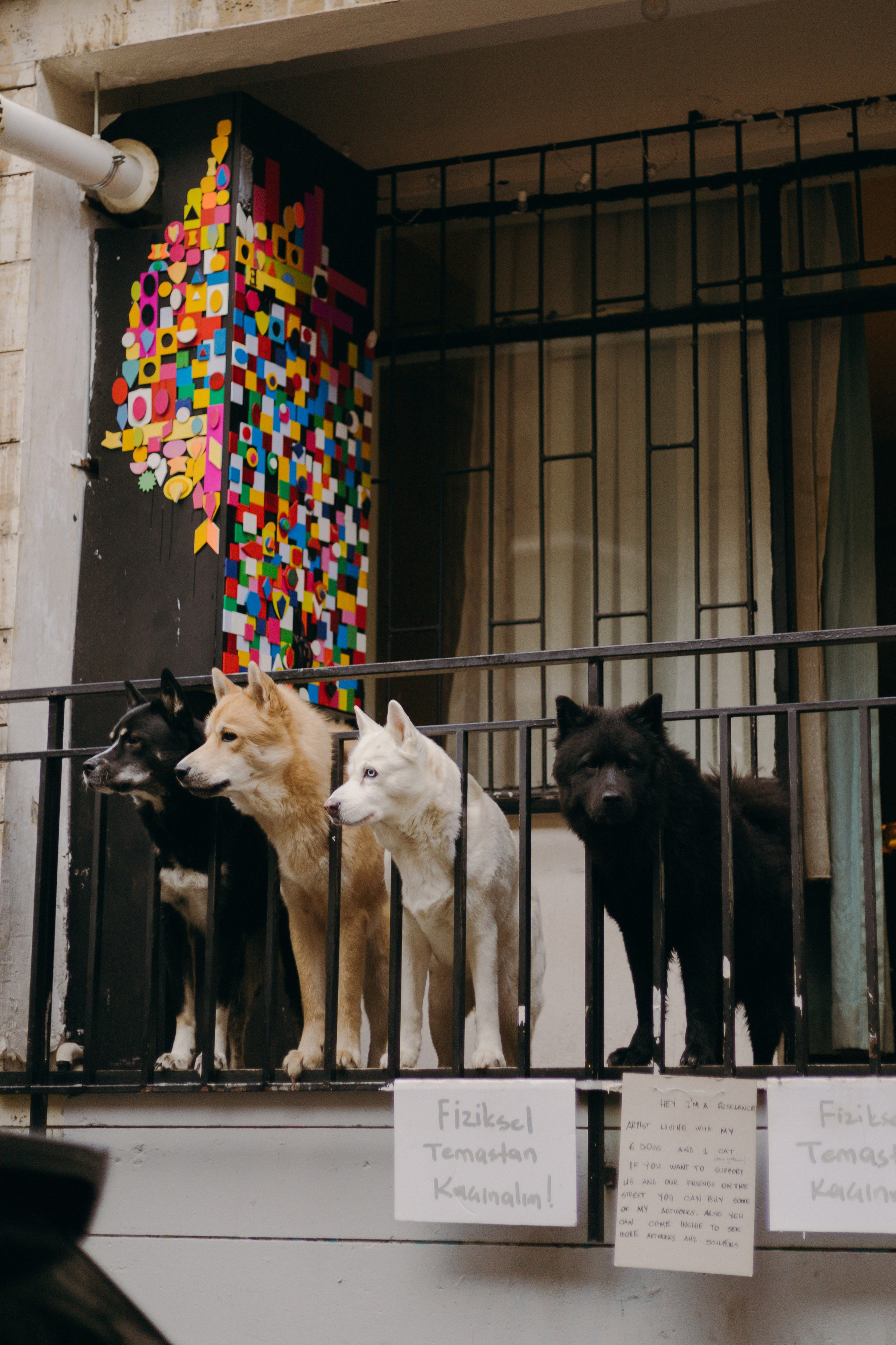 Стамбул. Профессиональный Фотограф во Владимире, в Москве и в Суздале — Полина Романычева