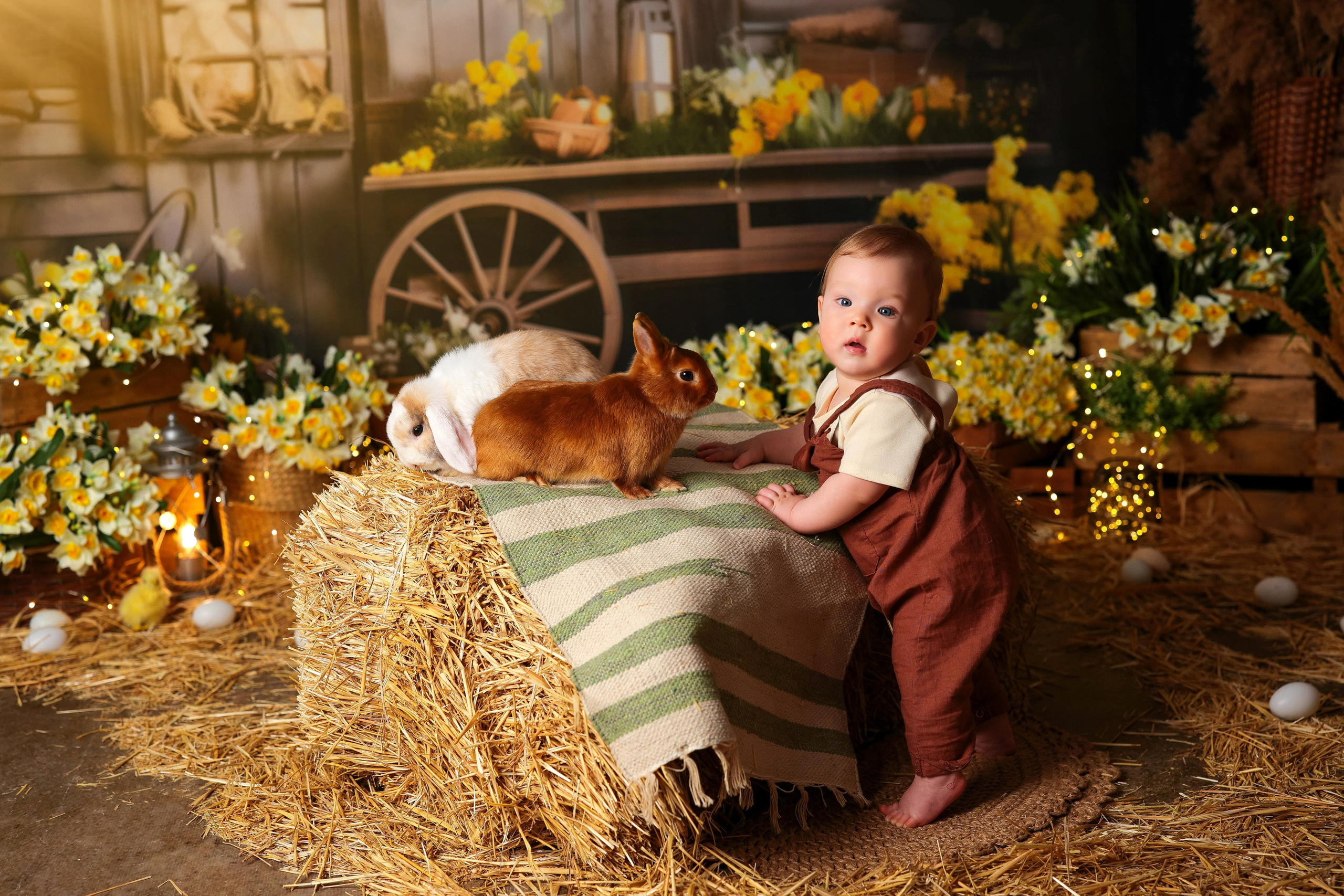 ДЕТСКИЕ ПРОЕКТЫ