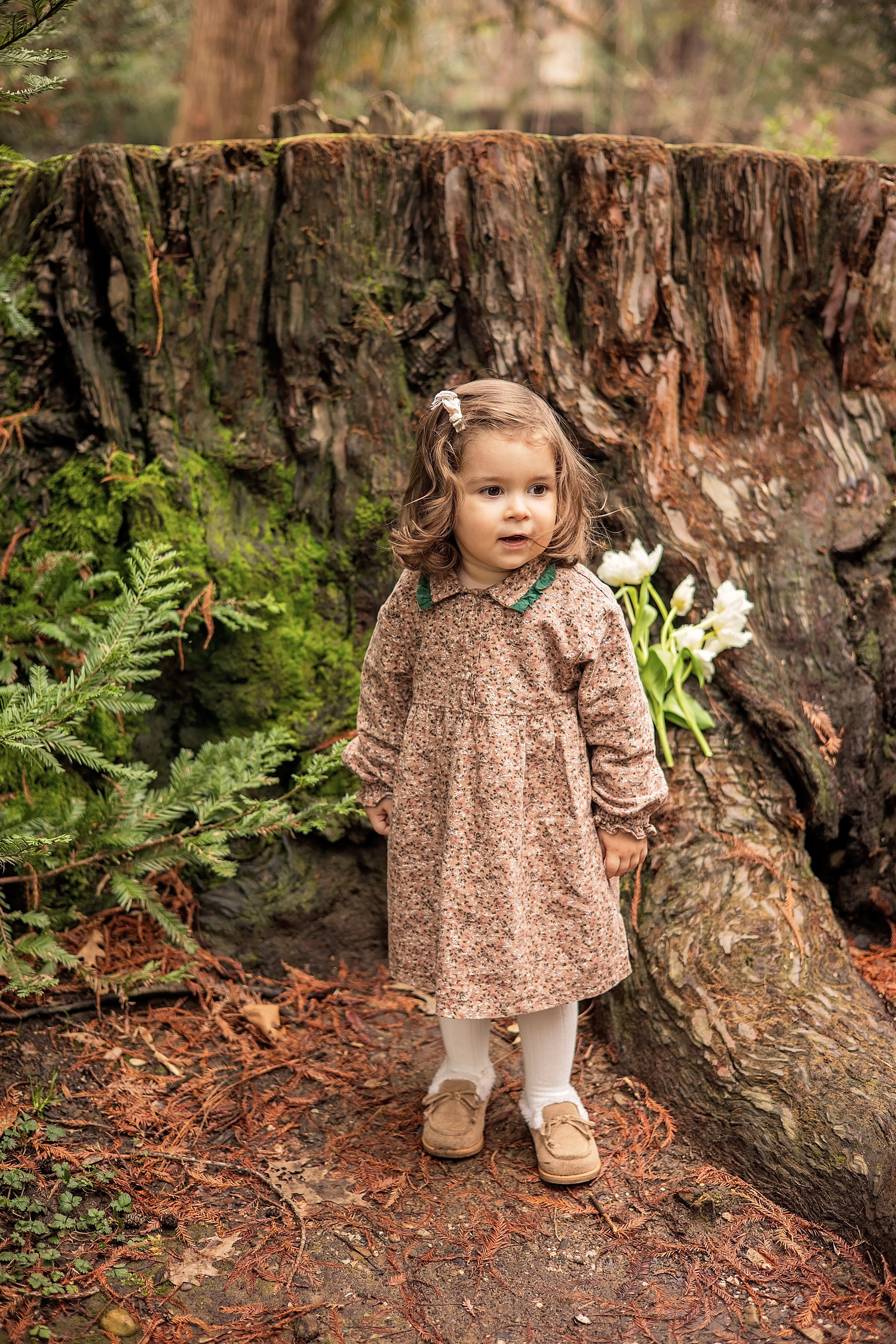 Мире 2 годика. Свадебный и семейный фотограф в Абхазии Эля Цишба