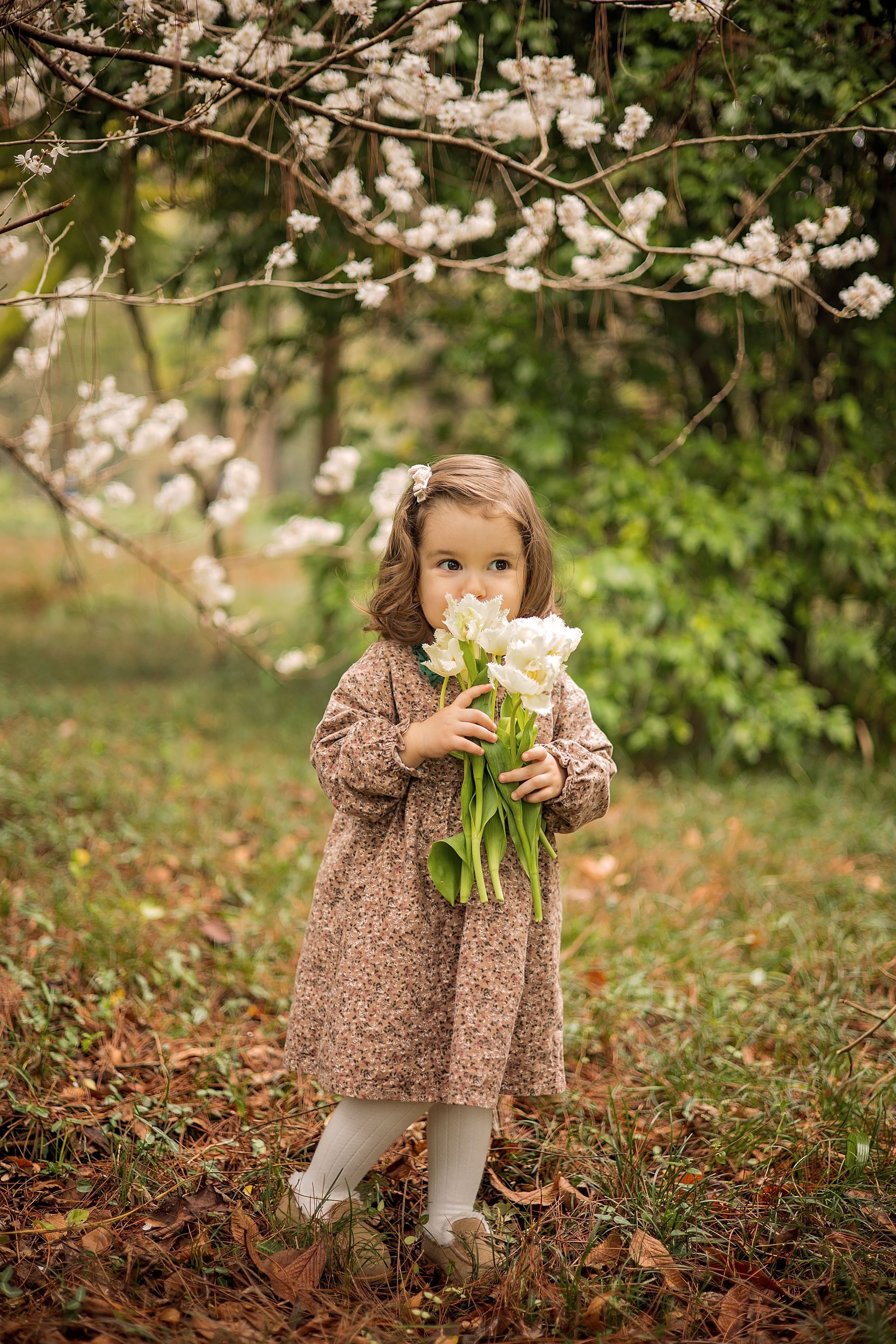 Мире 2 годика. Свадебный и семейный фотограф в Абхазии Эля Цишба