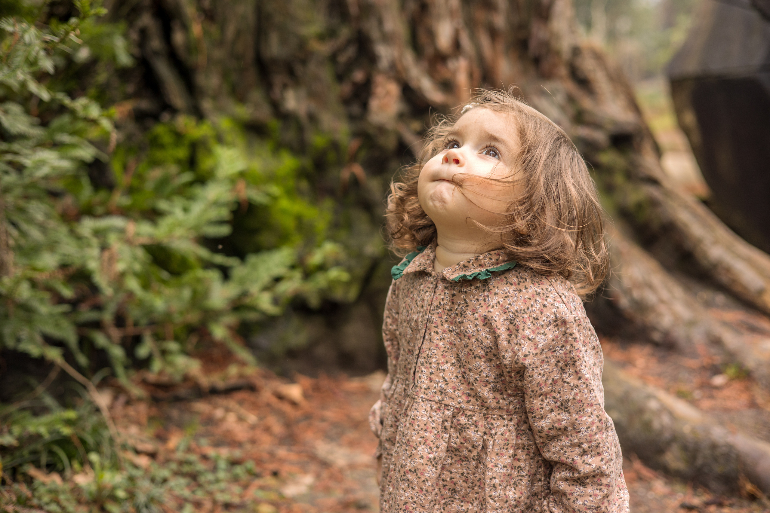 Мире 2 годика. Свадебный и семейный фотограф в Абхазии Эля Цишба