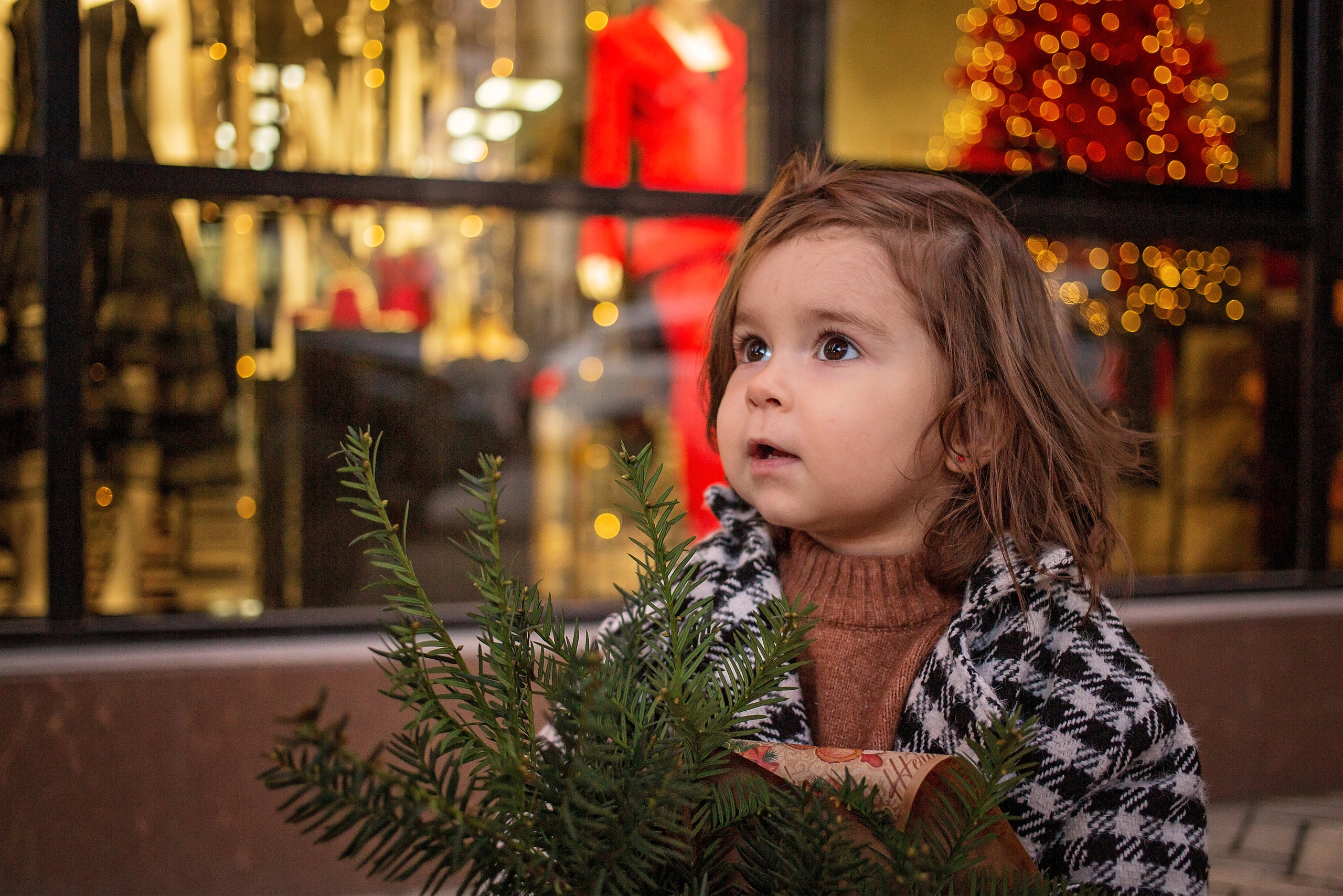 Новогодняя сказка. Свадебный и семейный фотограф в Абхазии Эля Цишба