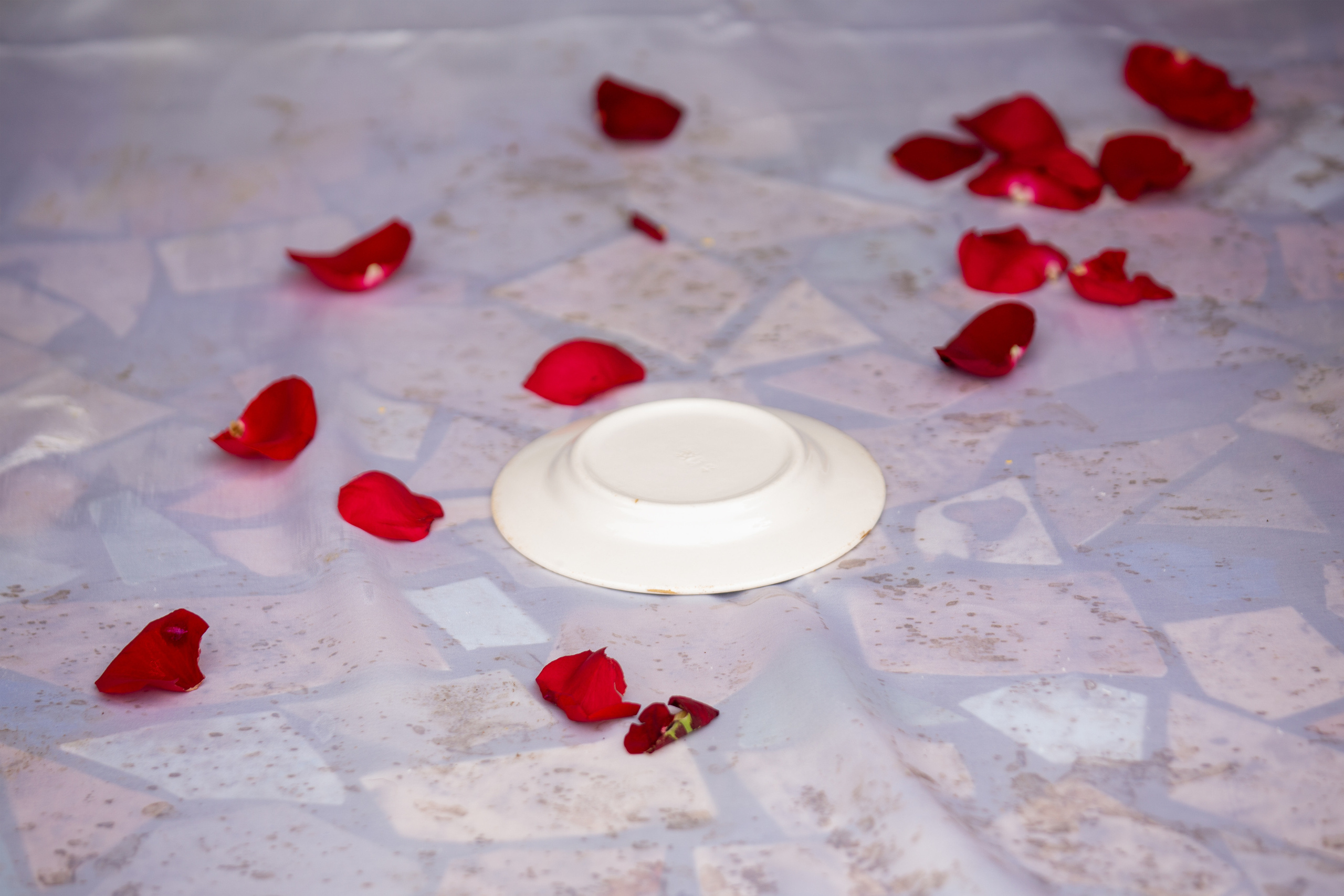 Невеста Милана. Свадебный и семейный фотограф в Абхазии Эля Цишба