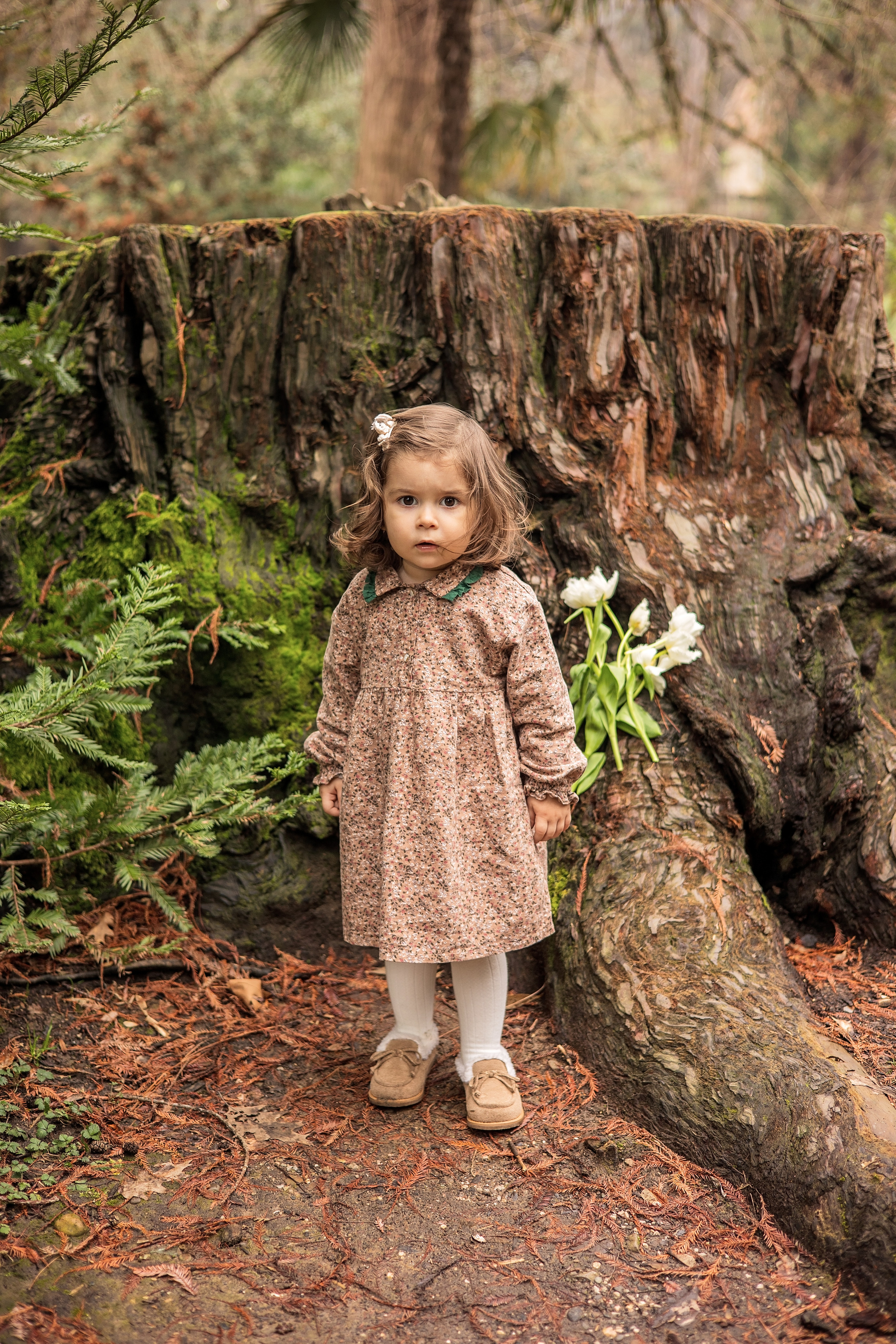 Мире 2 годика. Свадебный и семейный фотограф в Абхазии Эля Цишба